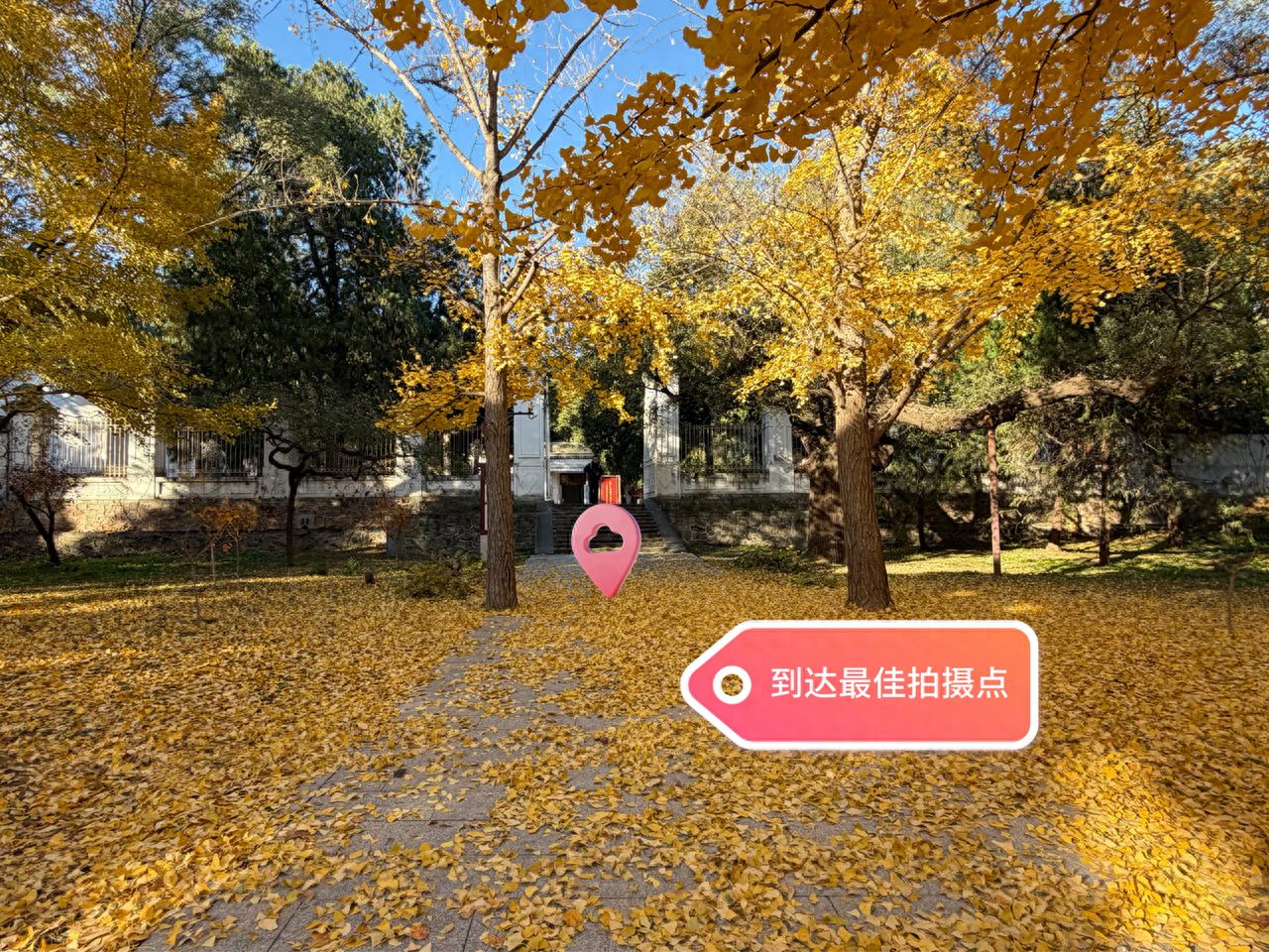 null — step-by-step photo guide