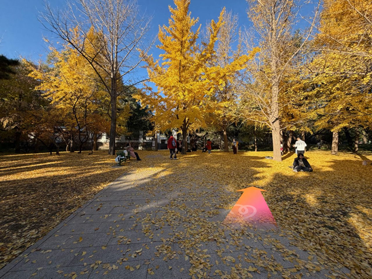 null — step-by-step photo guide