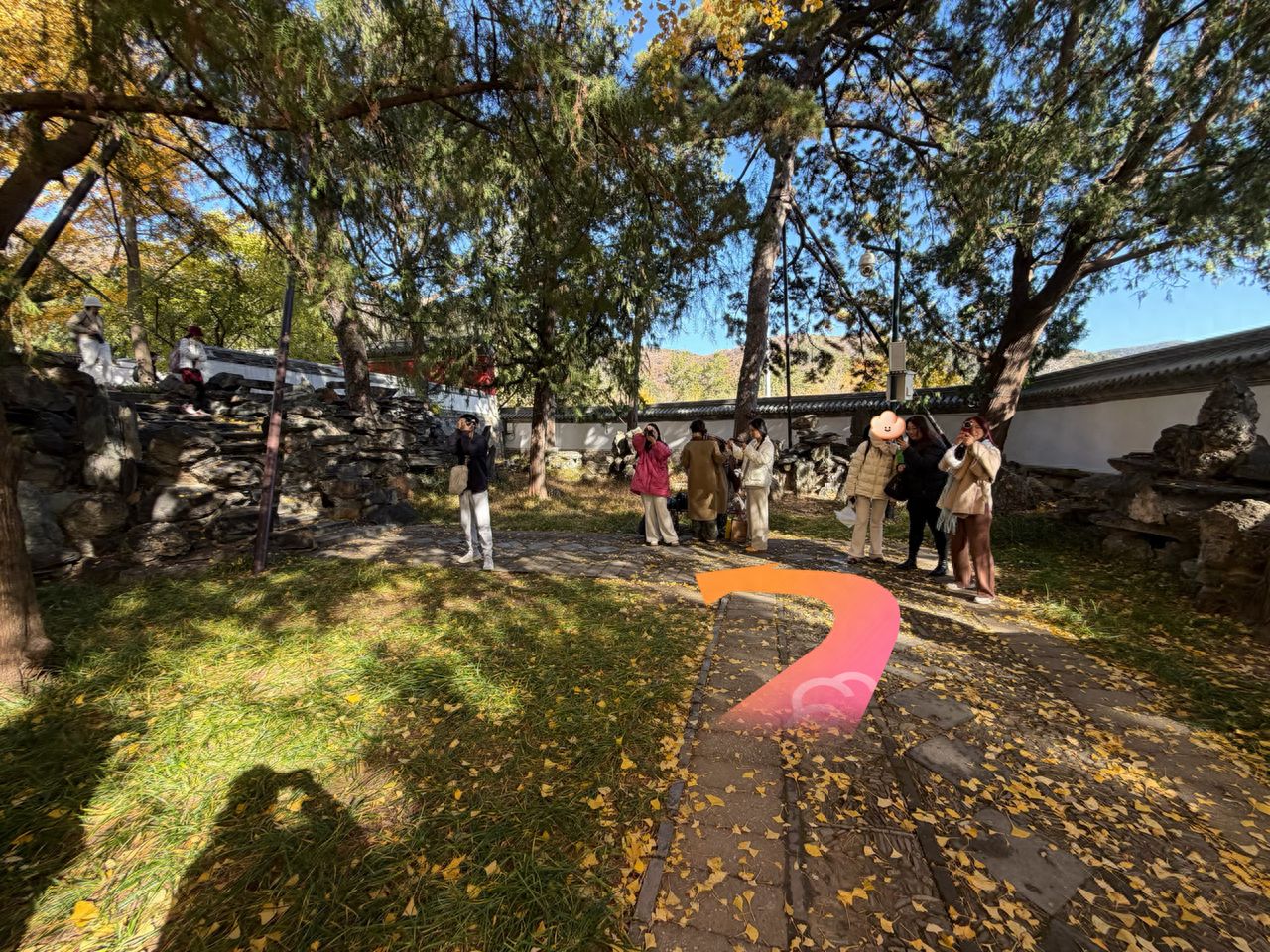 null — step-by-step photo guide