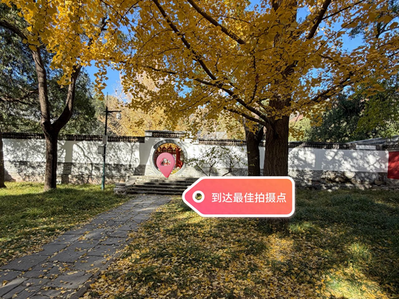 null — step-by-step photo guide