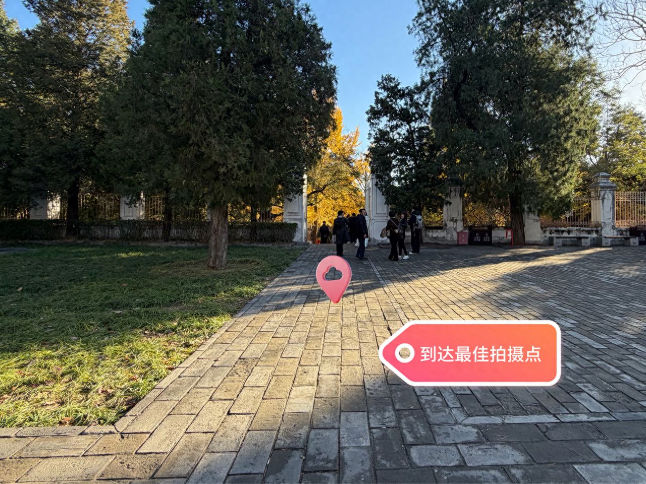 null — step-by-step photo guide