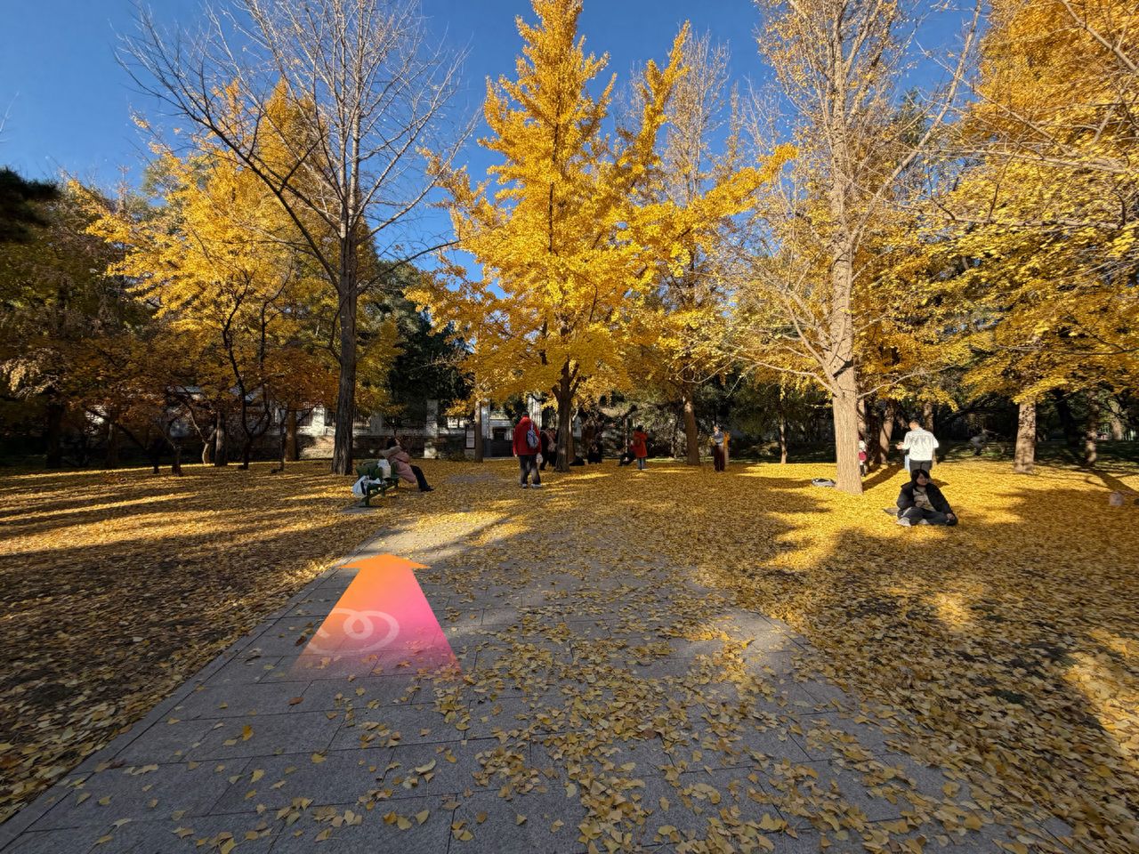 null — step-by-step photo guide