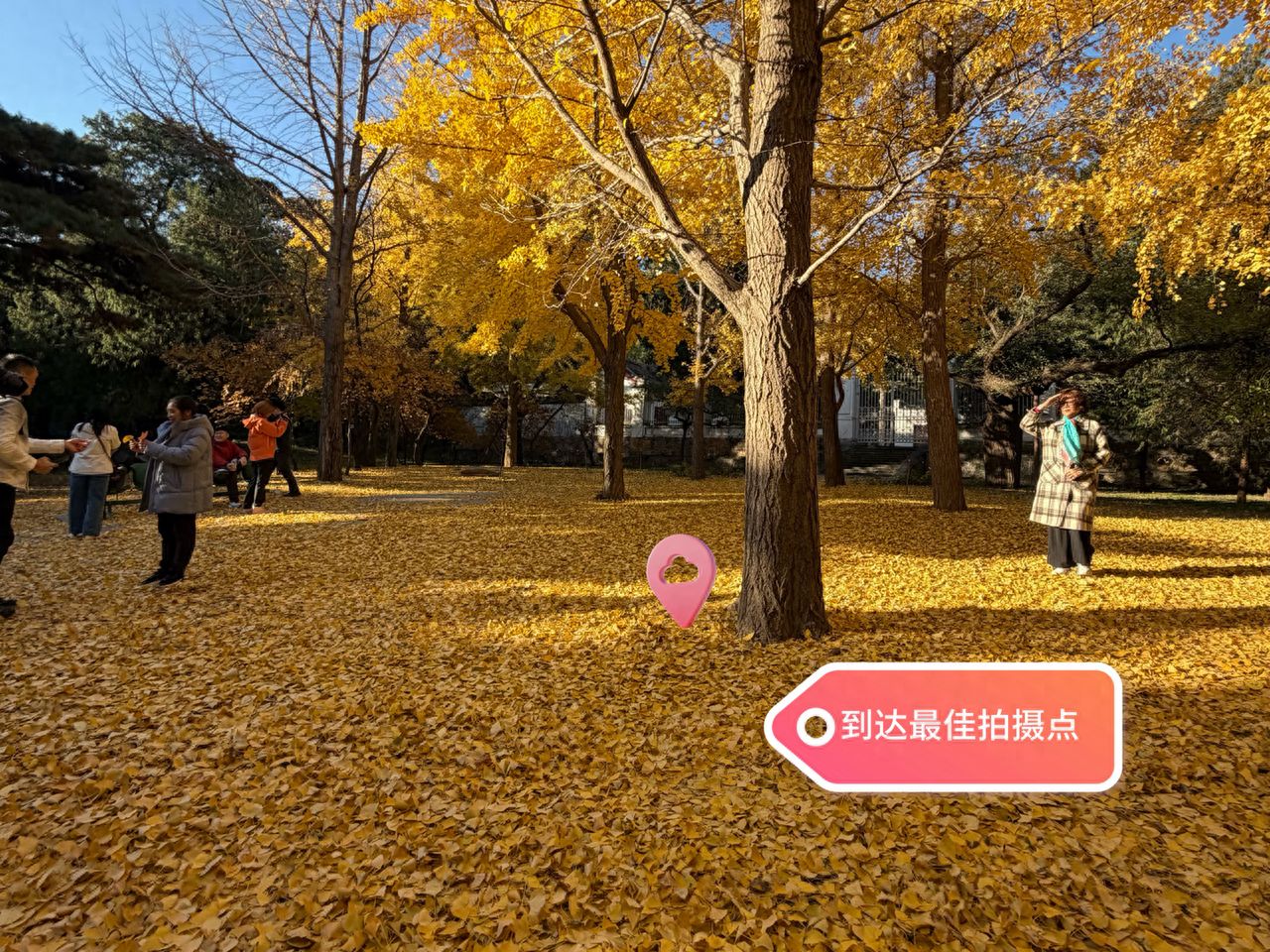 null — step-by-step photo guide