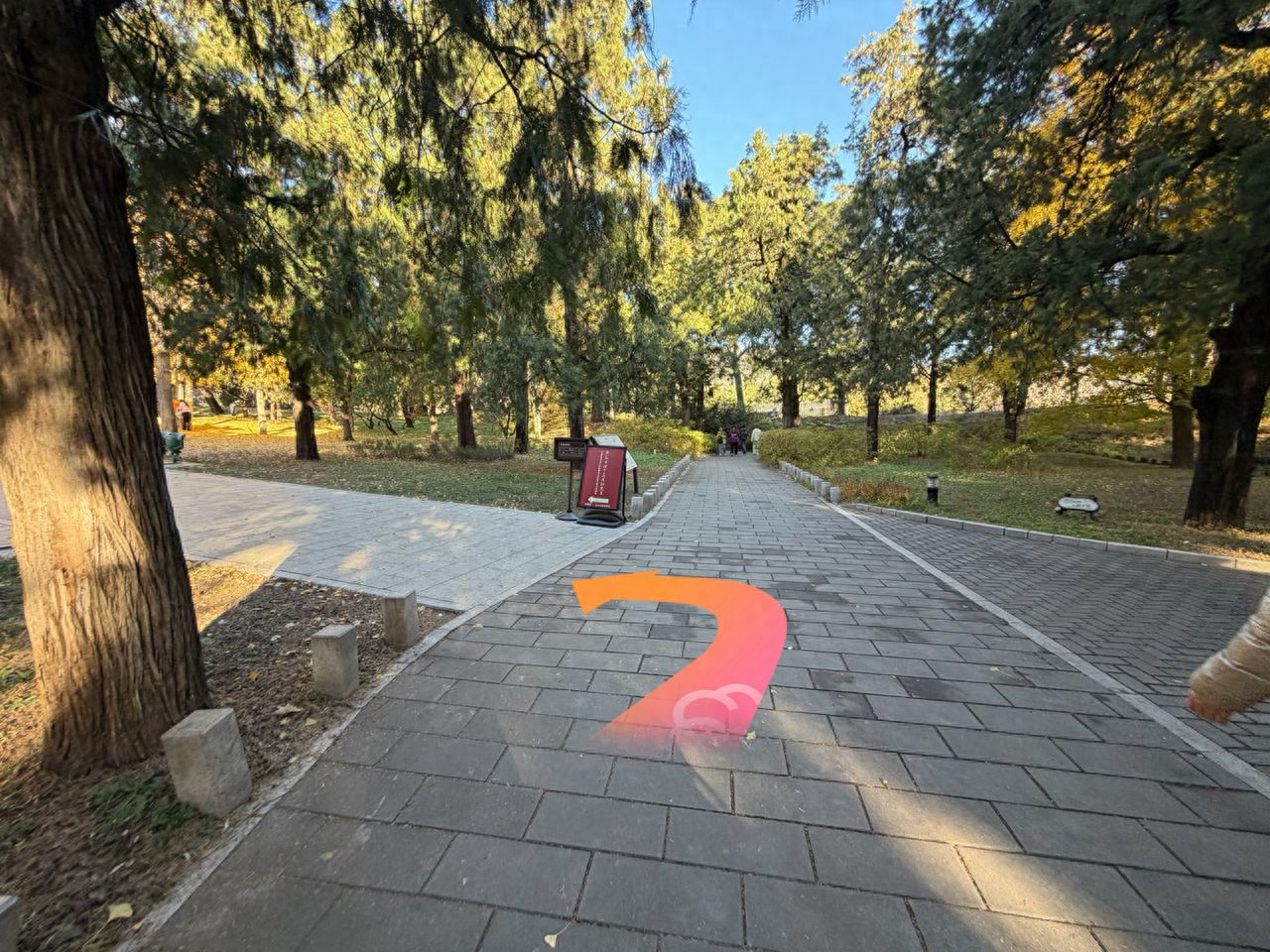 null — step-by-step photo guide