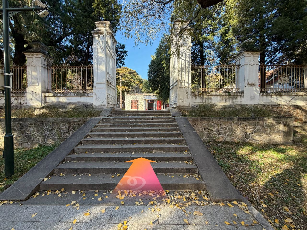 null — step-by-step photo guide