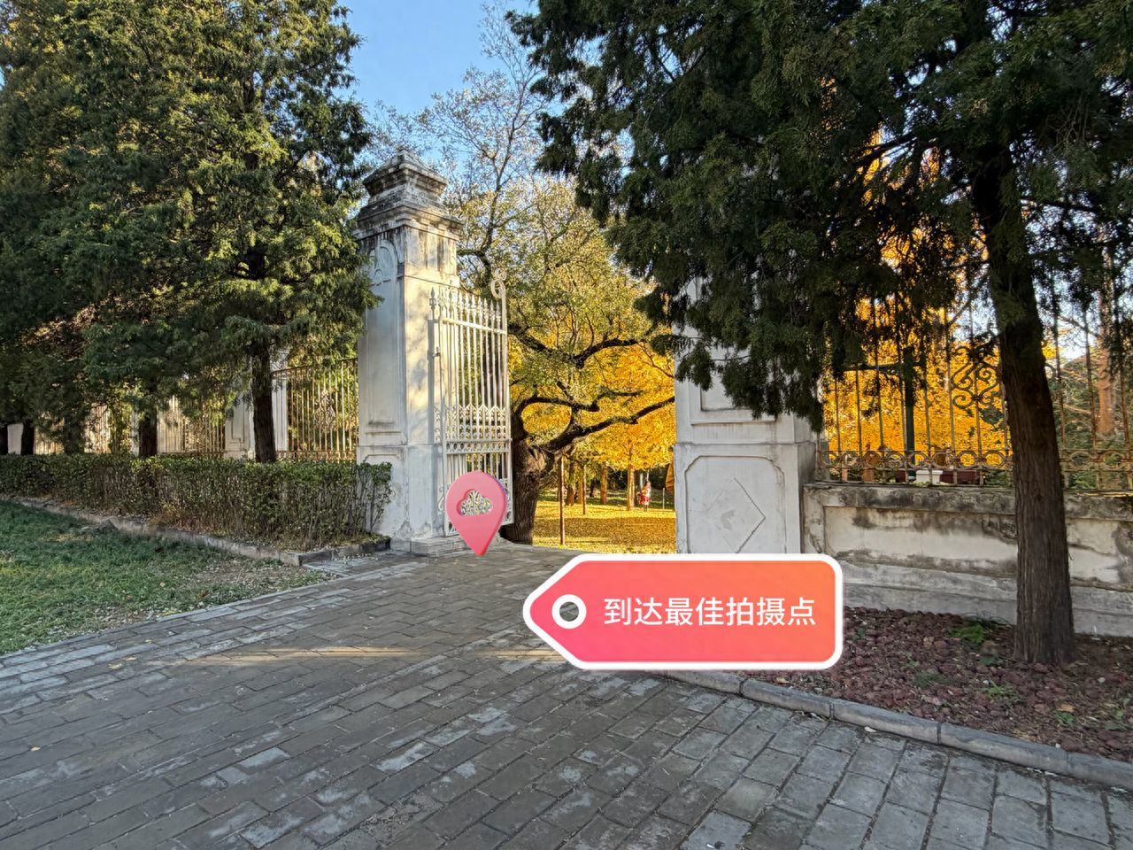 null — step-by-step photo guide