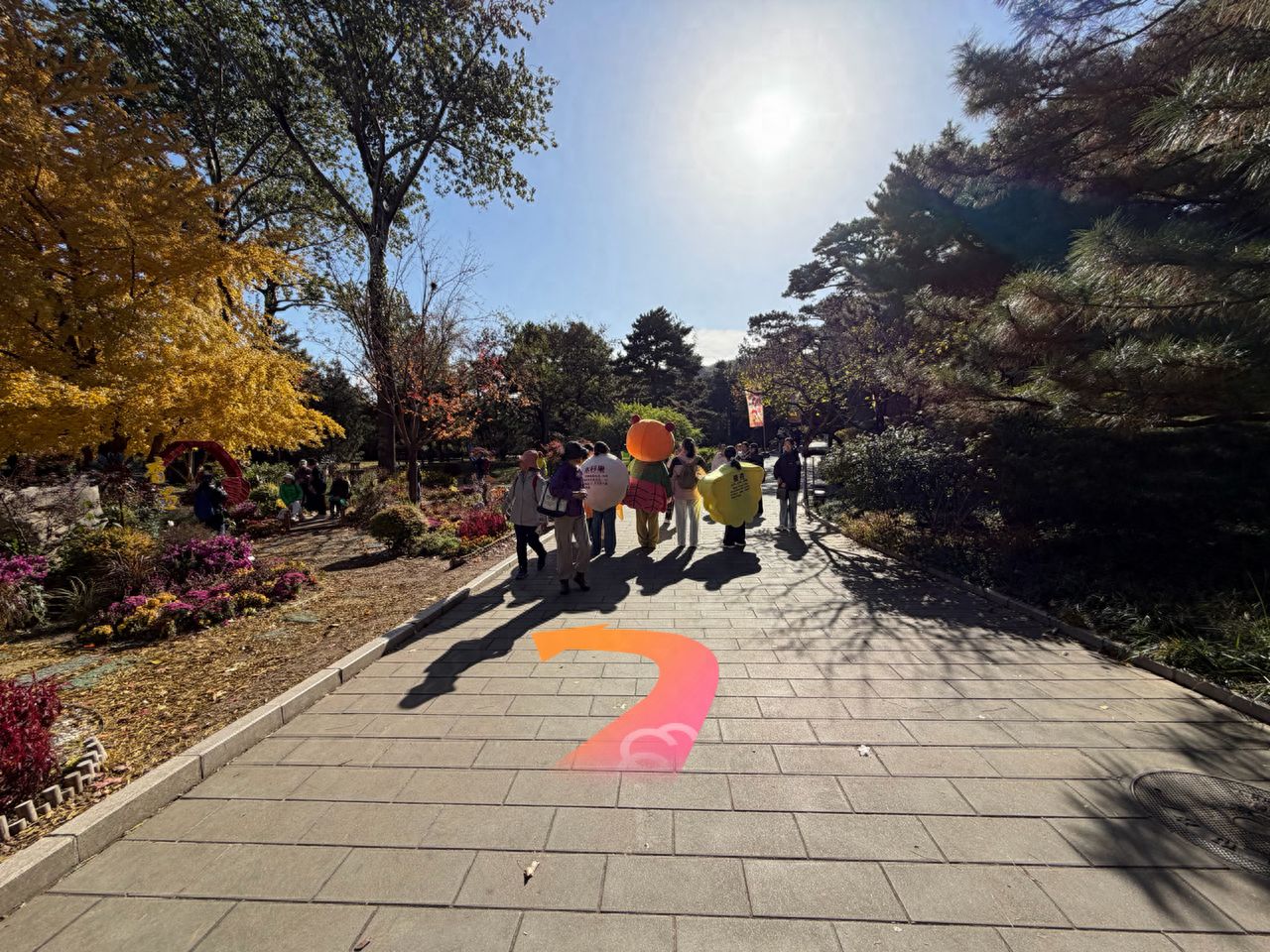Turn left towards the gingko tree. — step-by-step photo guide
