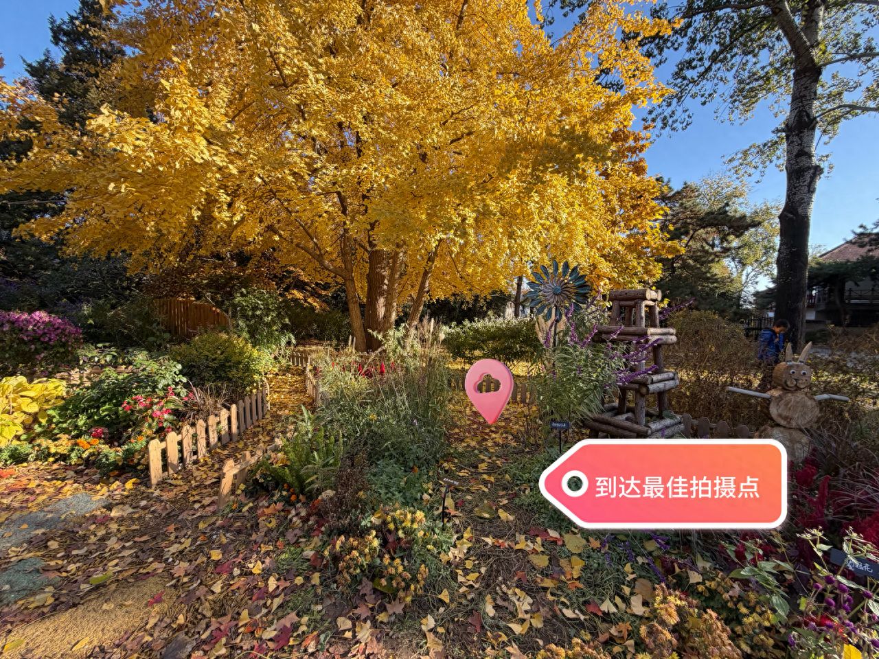 The shooting spot is by the windmill under the tree. — step-by-step photo guide