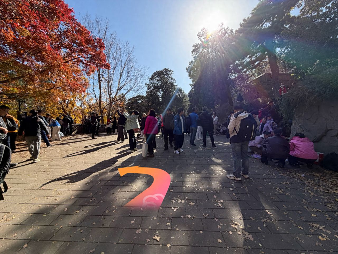 null — step-by-step photo guide