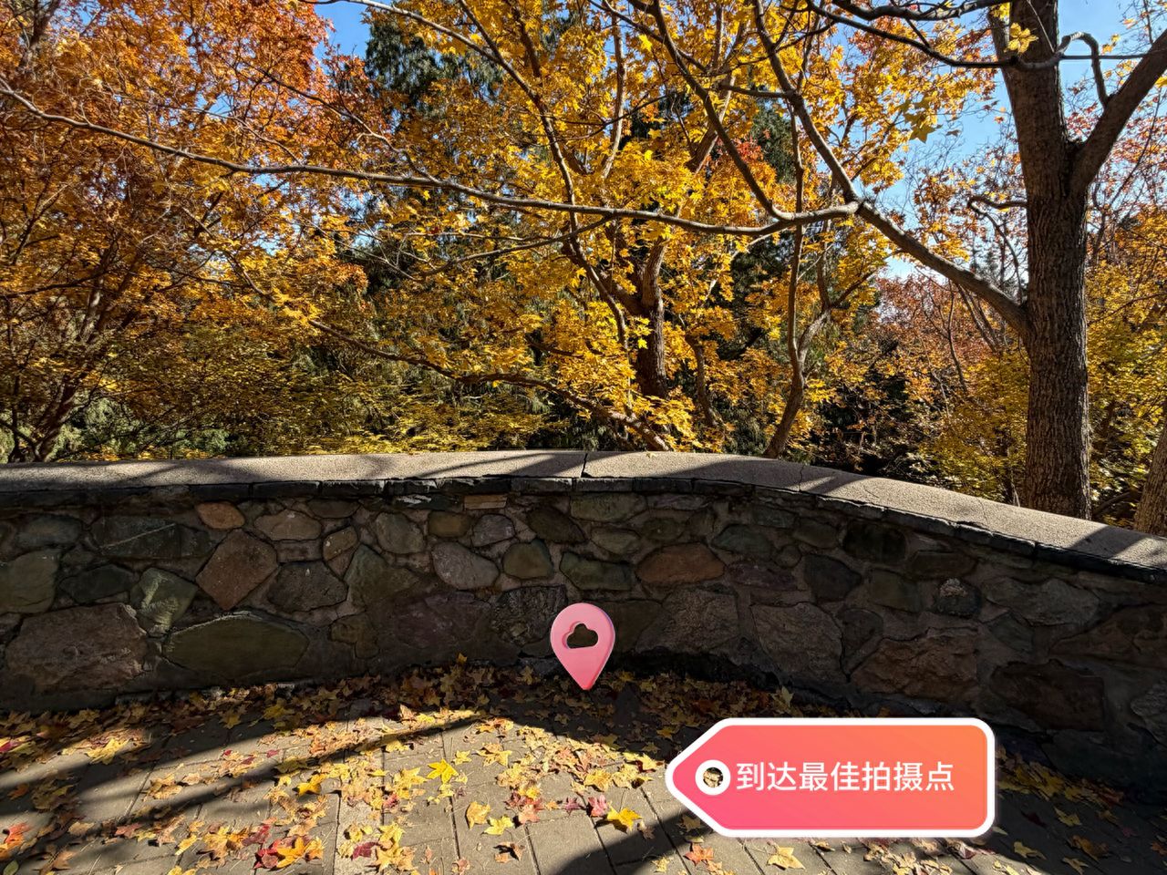 null — step-by-step photo guide