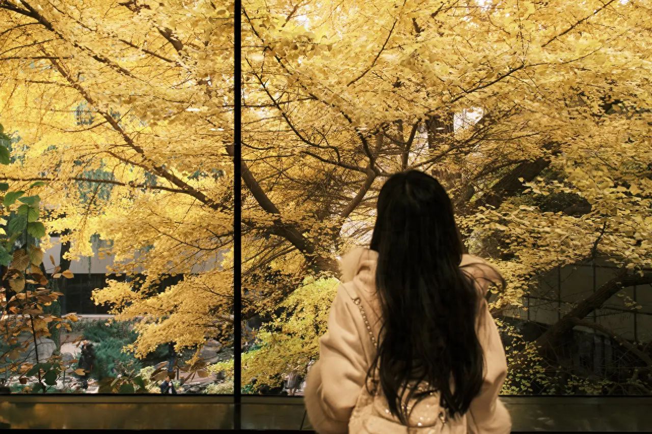 The model stands by the floor-to-ceiling window, using a medium telephoto 2x lens to avoid the surrounding crowd.

1. Equipment parameters: Fujifilm X-E4, lens 18-50mm, aperture f2.8.
2. Shooting time: Try to go in the morning or at noon.