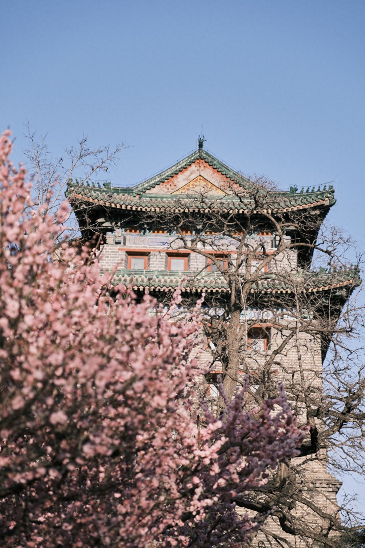 Photo by Beijing Ming City Wall Ruins Park - Plum Blossoms and Ancient Architecture