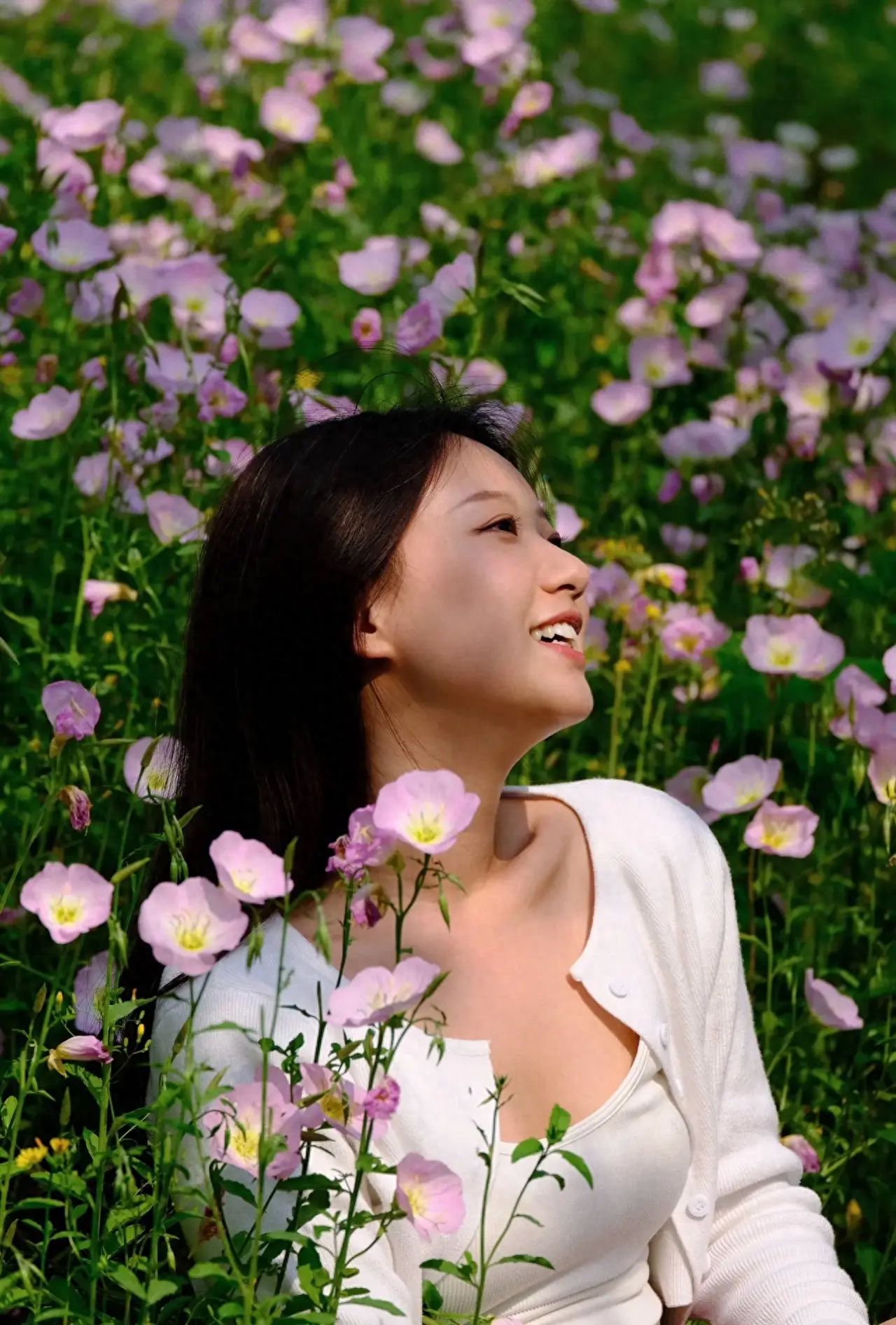 1. Perspective: The model sits amidst the evening primrose flowers, with the photographer squatting or using a low angle to shoot at shoulder level with the model, enhancing the sense of intimacy in the image.

2. Composition: Employ a foreground bokeh composition, using out-of-focus flowers to create a soft sense of depth in the image, highlighting the model as the main subject.

3. Lens focal length: It is recommended to use a focal length of 85mm-120mm (for cameras) or 2x-3x (for smartphones) to compress the sense of space and intensify the background bokeh effect.

4. Framing: Keep a large area of flowers in the background, avoiding cluttered elements, to emphasize the harmonious atmosphere between nature and the human subject.

1. Travel tips:

   ①Blooming period: The peak blooming time for evening primrose is from late April to early May 2025. The largest area of the flower sea is at Daoxiang Valley, but be aware that some areas may be nearing the end of their blooming cycle.

   ②Photography timing: The soft light from 6:00-8:00 AM, with dew still on, is suitable for capturing a fresh and hazy feel. From 17:00-19:00 PM, backlighting can create a semi-transparent effect on the petals and avoids the high temperatures at noon.

2. Clothing suggestions: Light-colored long dresses or Hanfu.

3. Photography props: Straw hats, sheer shawls, vintage cameras, picnic baskets, transparent umbrellas, balloons, books, etc.
