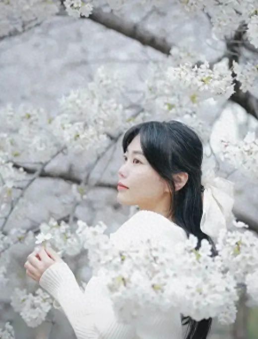 Photo by Galaxy Bay Park - White Cherry Blossoms