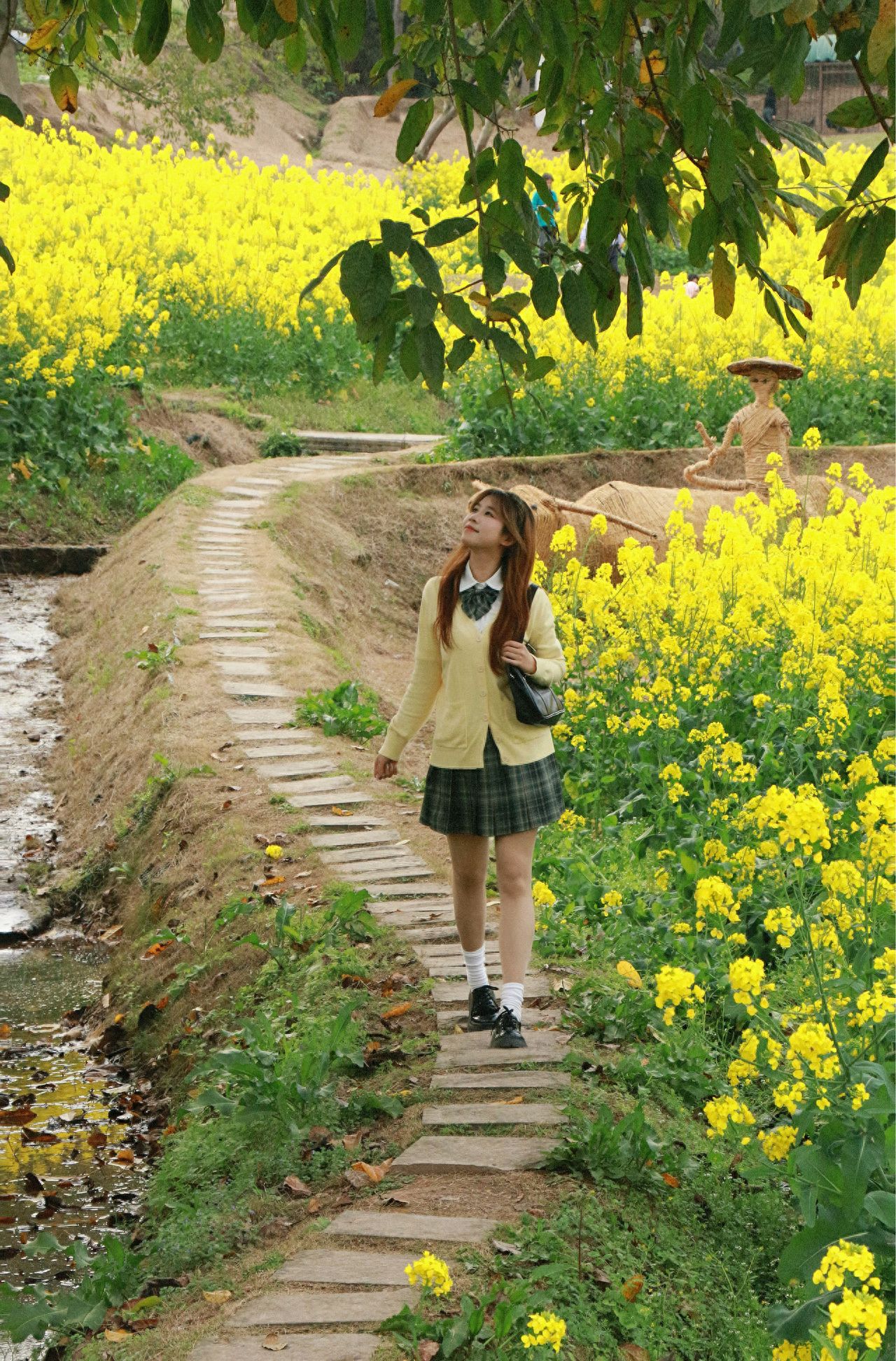 The model walks along the flower-lined path, with the photographer capturing candid shots. It's important to include the flowers in the frame to enrich the scene. The photographer should stand about four to five meters away from the model and zoom the lens to approximately 1.2 times to better integrate the entire path with the model for a more striking image!

1. It is recommended to go in the early morning or evening when the light is the softest, avoiding the harsh overhead light at noon.
2. Wear white or light-colored clothes to complement the golden sea of flowers.
3. When standing or squatting, avoid stepping on the flower field! Use the path as a natural frame for a more environmentally friendly photo.