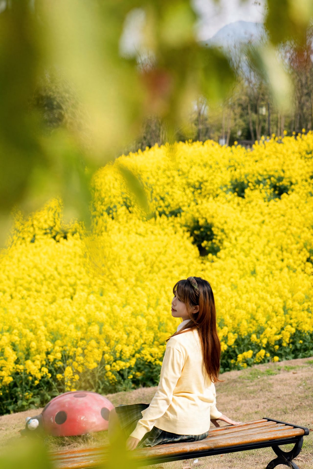The model sits on a chair, while the photographer stands about 3 meters away from the model, focusing on the model to blur the rapeseed flowers in the background, highlighting the figure. A large aperture can be used to create a shallow depth of field, and slightly increasing the exposure can make the image more vivid.

1. Post-processing: The filter recommended is VSco A4 with added grain for texture.
2. Photography poses: ① Sit on the chair with a slight lean back, legs naturally hanging down, eyes closed to feel the spring breeze on the cheeks; ② Sit on the edge of the chair with your back to the camera, hand supporting the chin, gazing into the distance.
3. Wardrobe suggestions: Wearing a light-colored dress will be more photogenic, and a straw hat/flower crown are bonus props.
4. Other tips: Be careful not to trample around the seating area, only by appreciating the flowers civilly can we ensure the sea of flowers returns year after year.