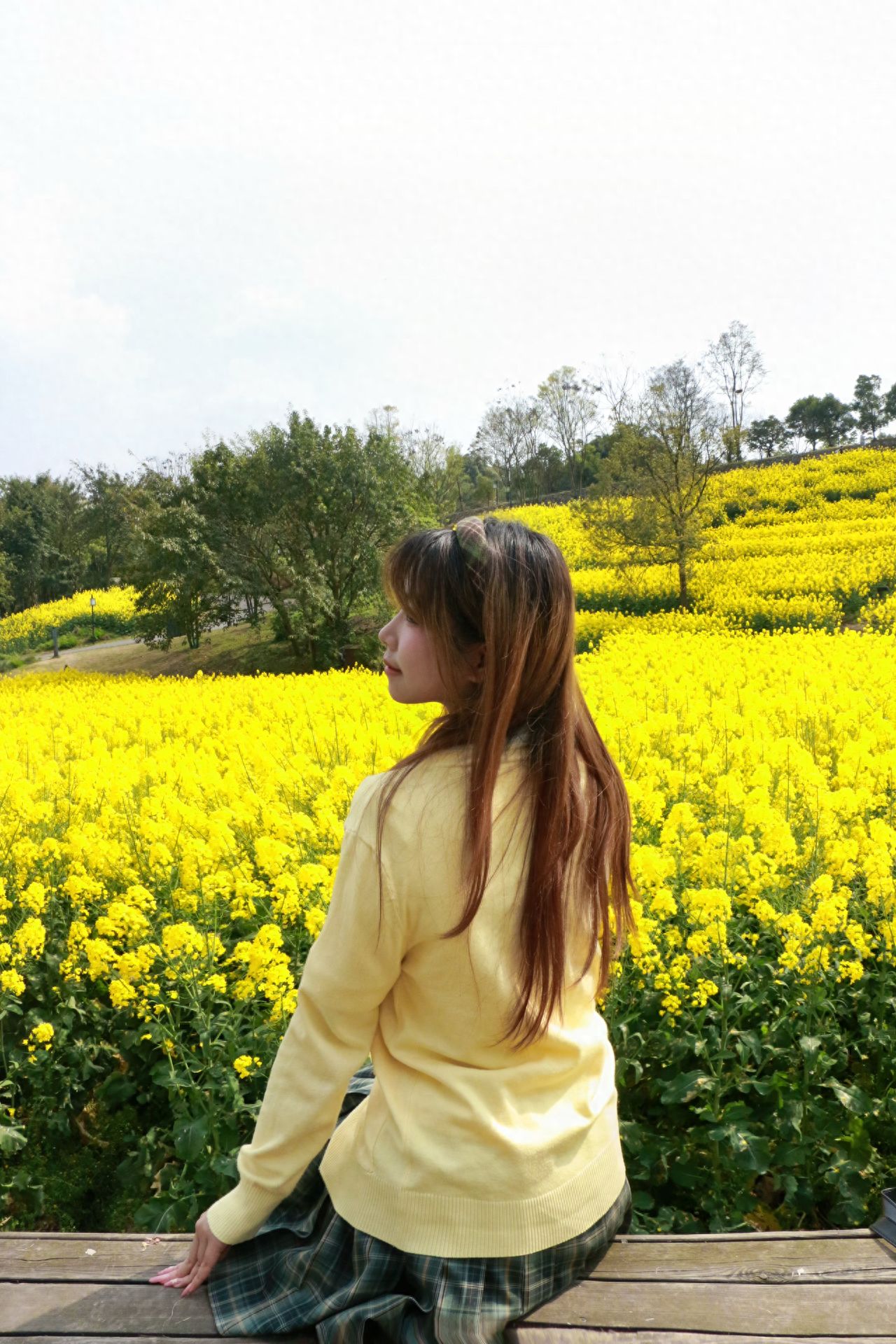 1. Blooming Alert: The best time for viewing is from late March to mid-April!
2. Civilized Check-in: Please do not trample on the flower fields, and use the reserved pathways for taking photos.