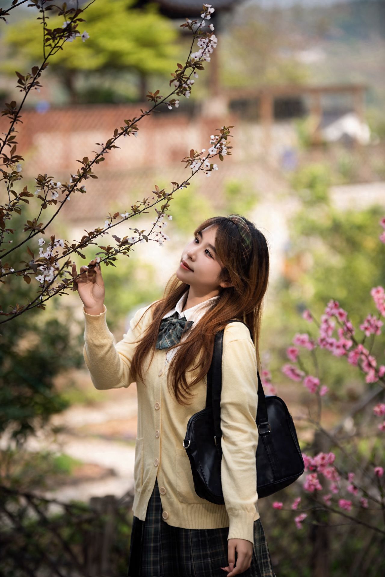 I am standing under the cherry blossom tree, trying to interact with the flowers. The photographer can use a low-angle shot with a small aperture to highlight the person and blur the background.

1. It is recommended to wear light-colored clothes, as JK uniforms match better with cherry blossoms.
2. It is advised to visit during the daytime, preferably from 2:00 to 5:00 PM, when the light is better, softer, and more suitable for taking photos.