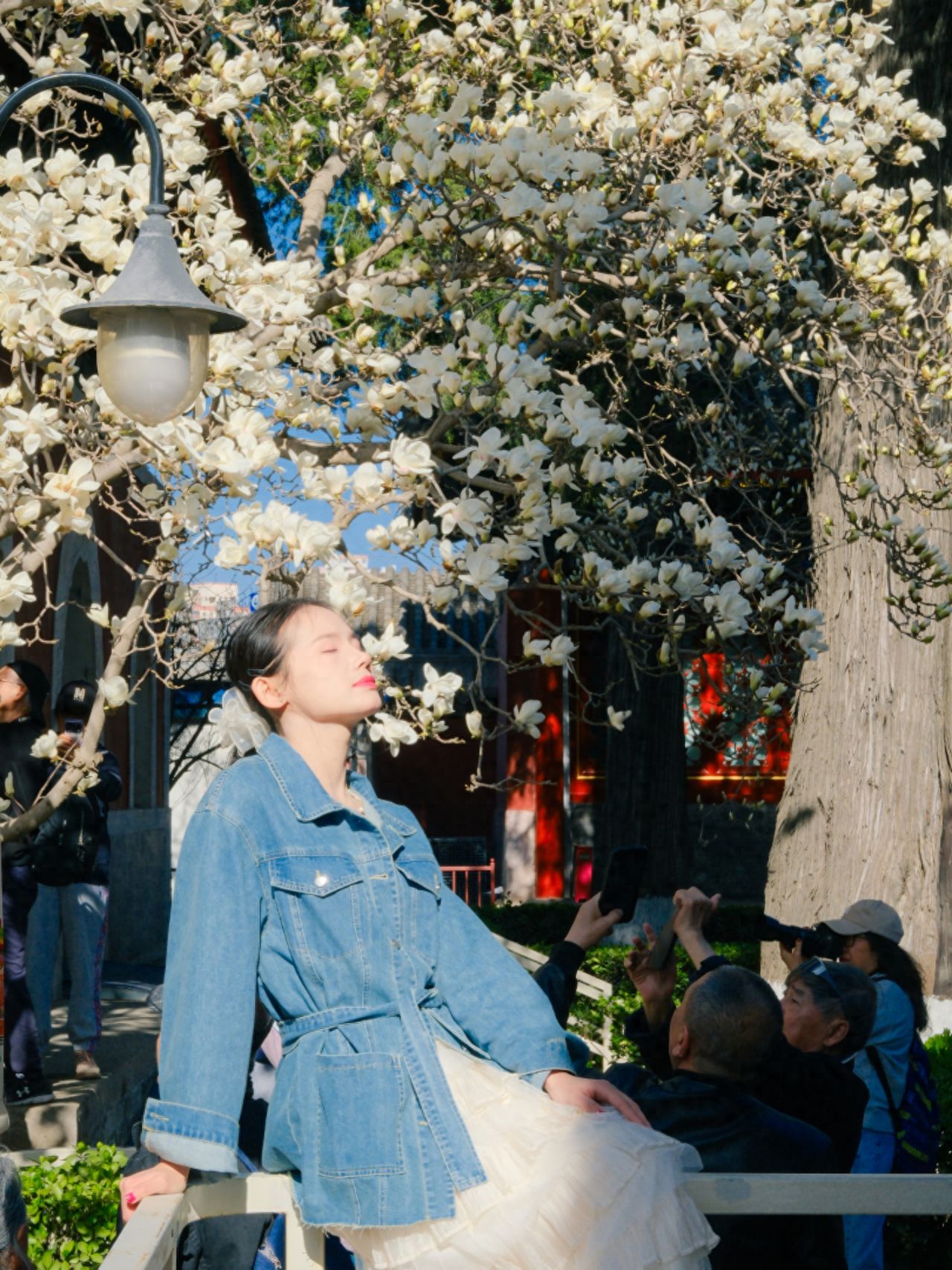 Photo by Beijing Wanshou Temple - on the white railings