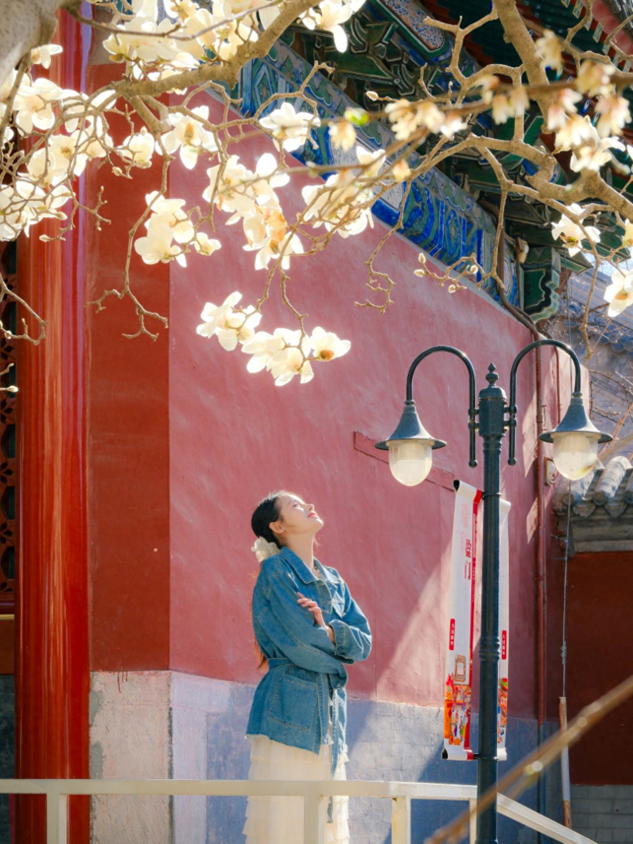 Photo by In front of the white railing street lamp at Wan Shou Temple, Beijing