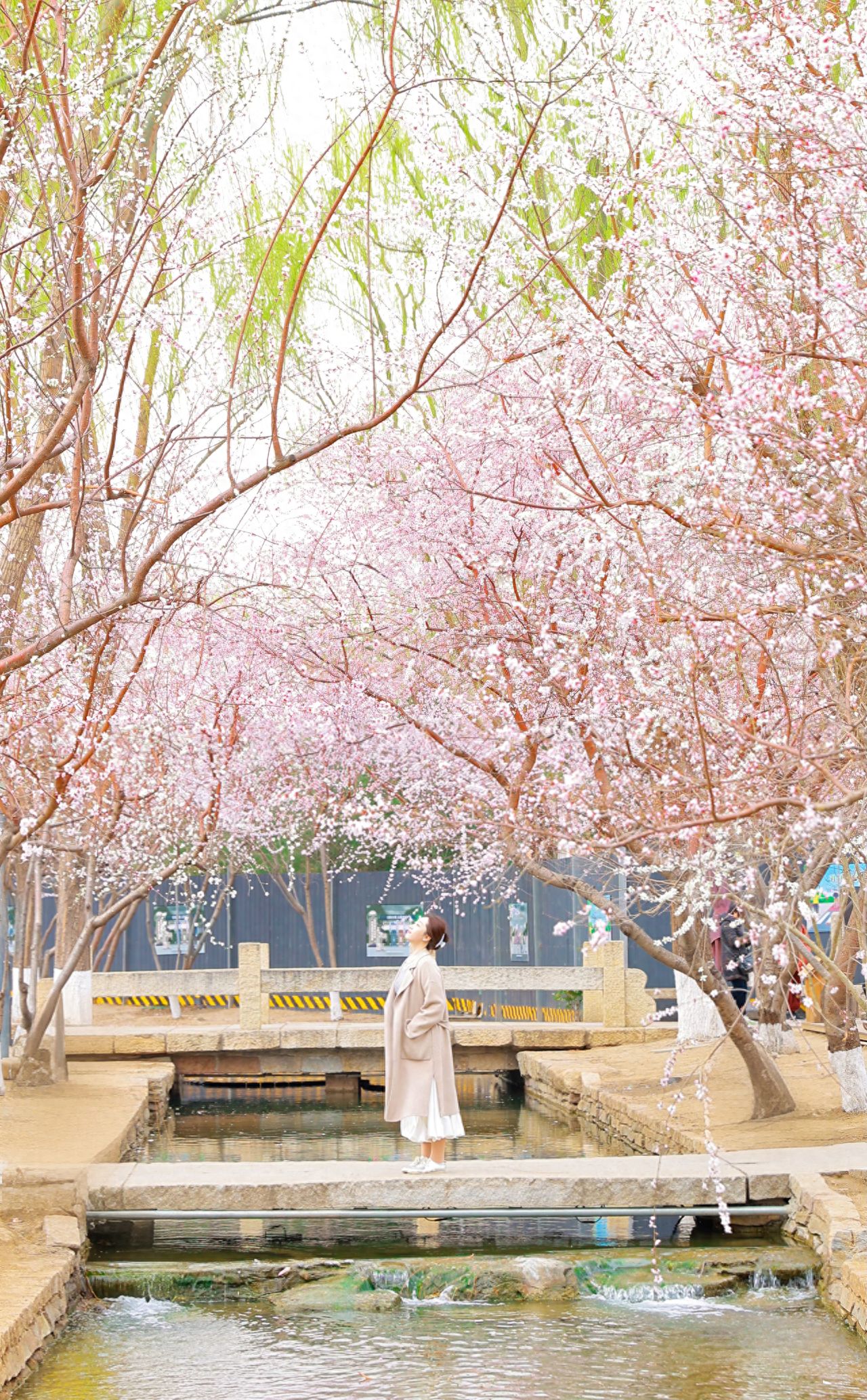 The model stands on the stone bridge, while the photographer stands on the opposite side of the small river on the bridge, capturing close-up shots. 

Photo Pose: The model can walk back and forth and circle on the bridge, with the photographer capturing the moments in action.

Shooting Time: March 19th, 10:30 AM.

Shooting Equipment: Canon R6 + 24-70mm lens.