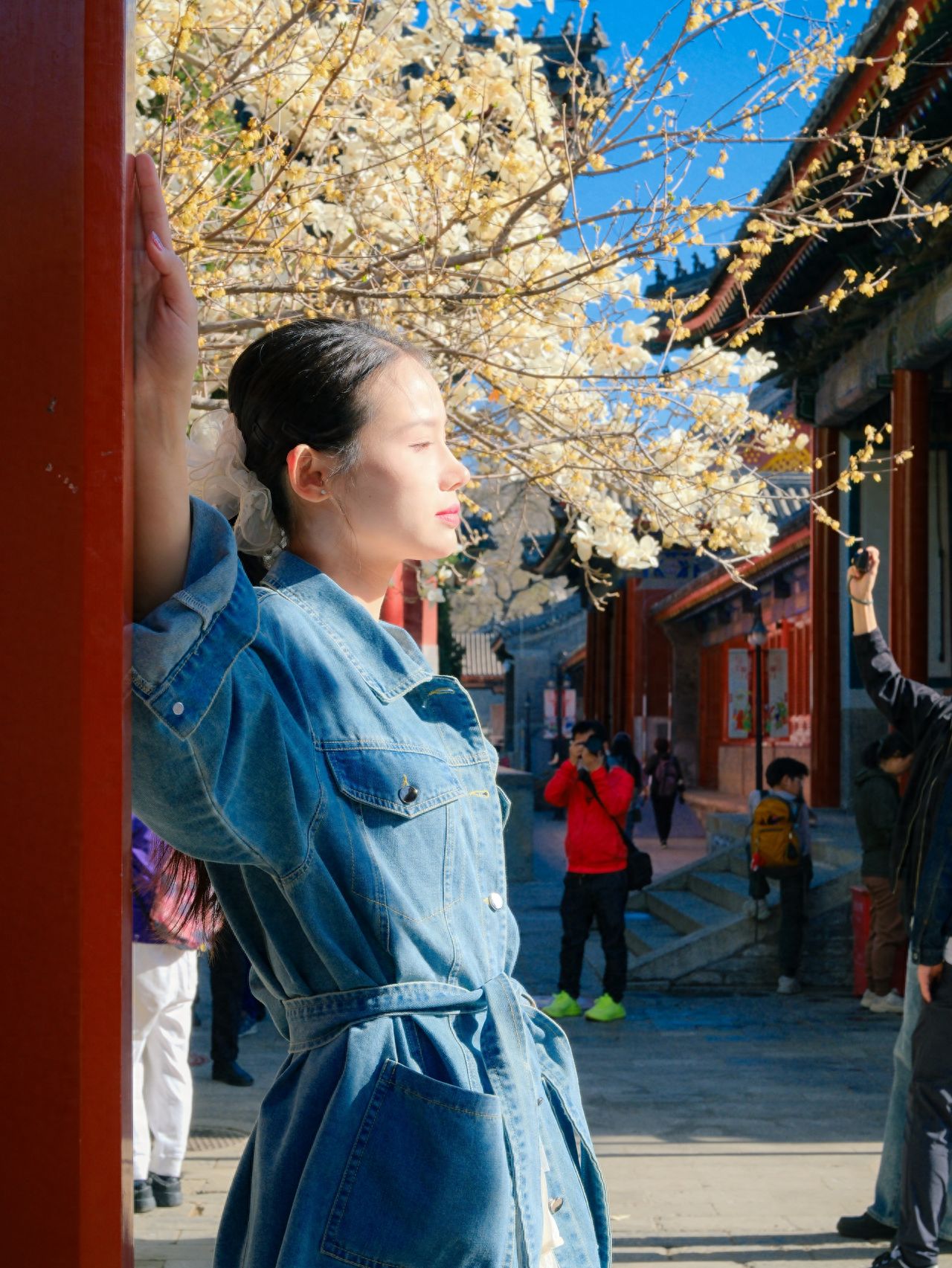Photo by Beijing Wanshou Temple - Side of the Door Frame