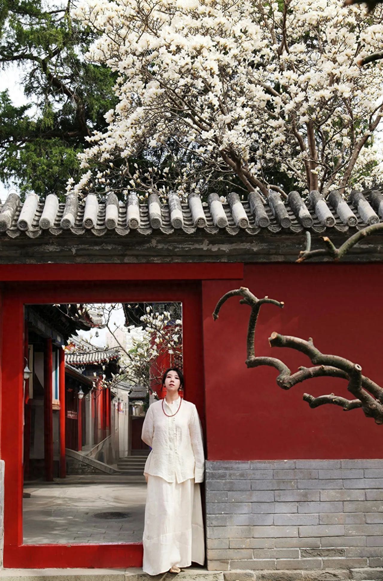 Photo by Beijing Longevity Temple - Red Walls and Magnolia Flowers