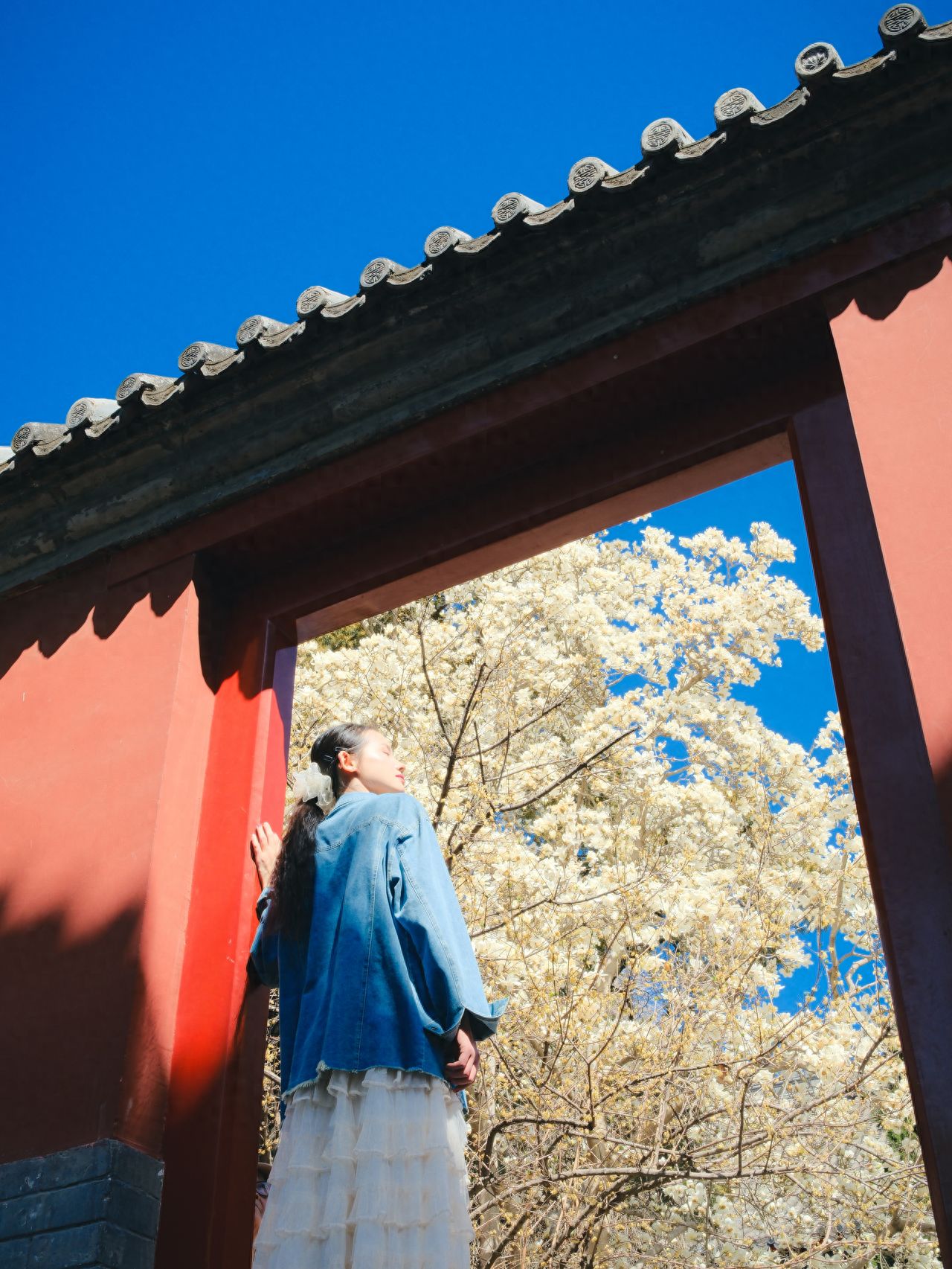 Photo by Wanshou Temple in Beijing - Small Door on the Right Side of the Wanshou Pavilion