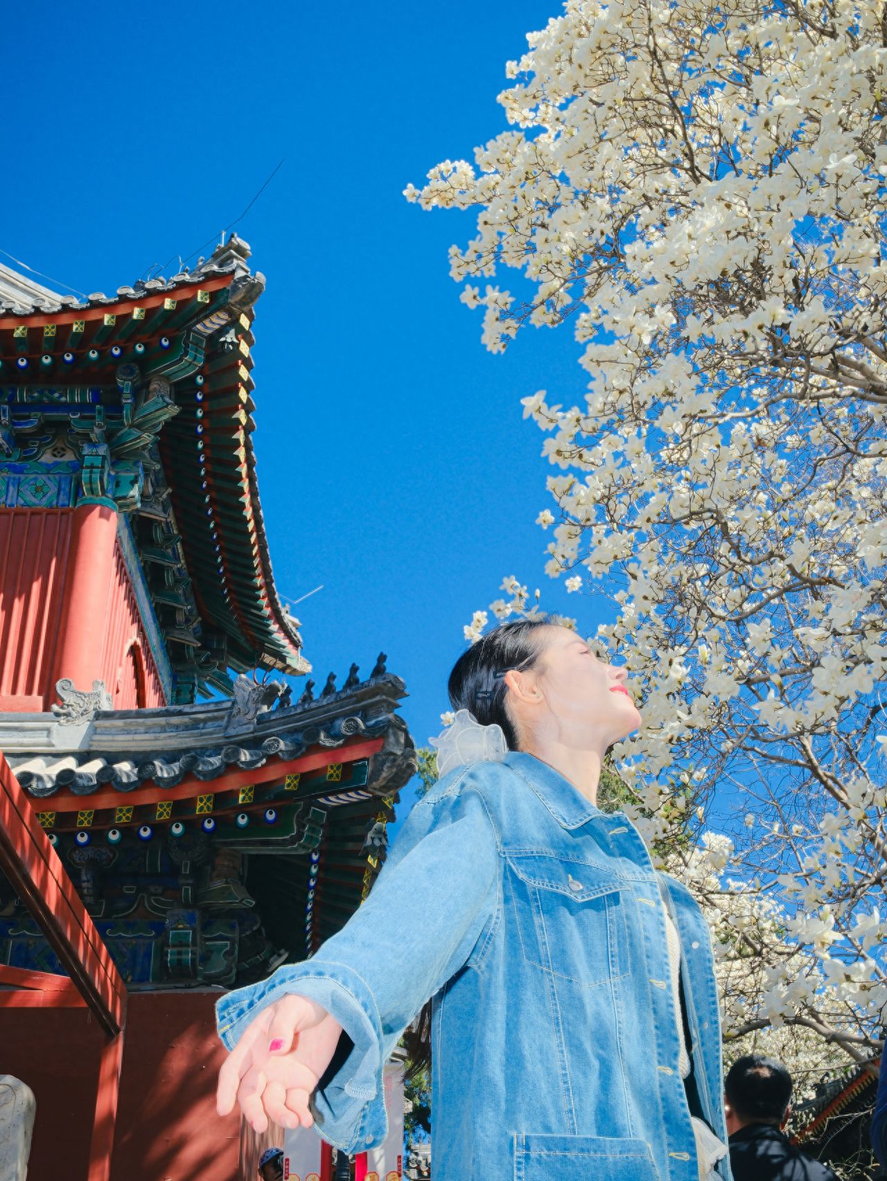 Photo by Beijing Wanshou Temple - Magnolia in Front of the Drum Tower
