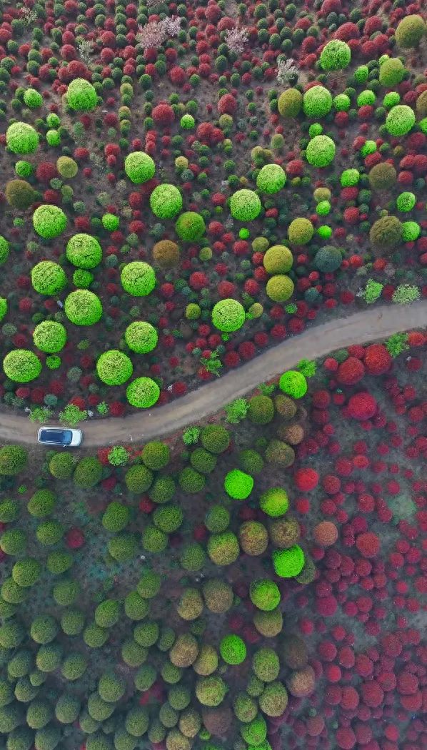 Drone aerial photography, high-angle top-down shot. Maintain a sense of depth in the frame. Use leading line composition with a winding path running through the center of the image, guiding the viewer's eyes to the distance.

Additional tips: If you don't have a drone, you can use a camera or smartphone to capture wide-angle and panoramic shots, which are easy to produce impressive images.