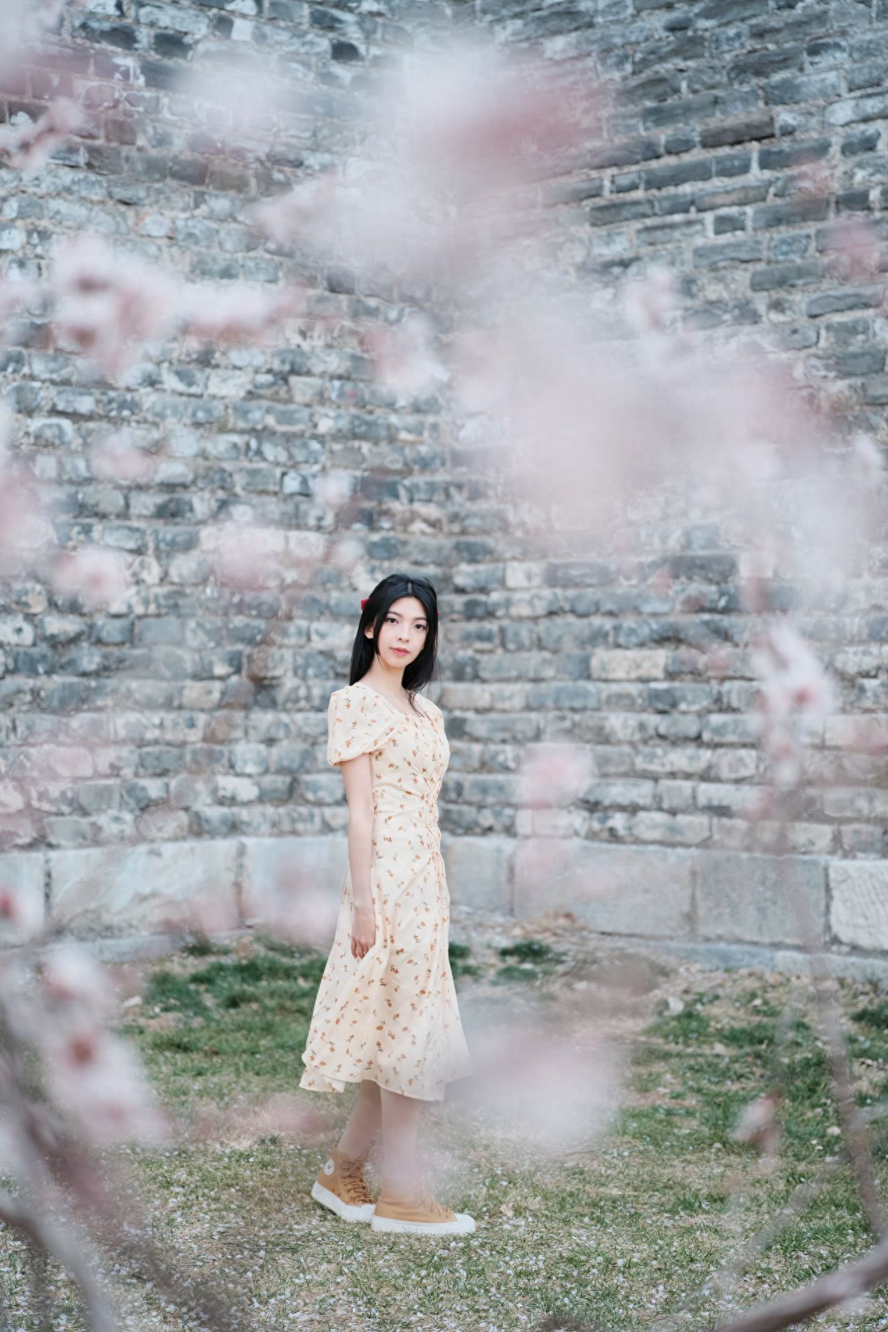 Photo by Beijing Ming City Wall Relics Park - White Plum Blossoms at the Foot of the City Wall