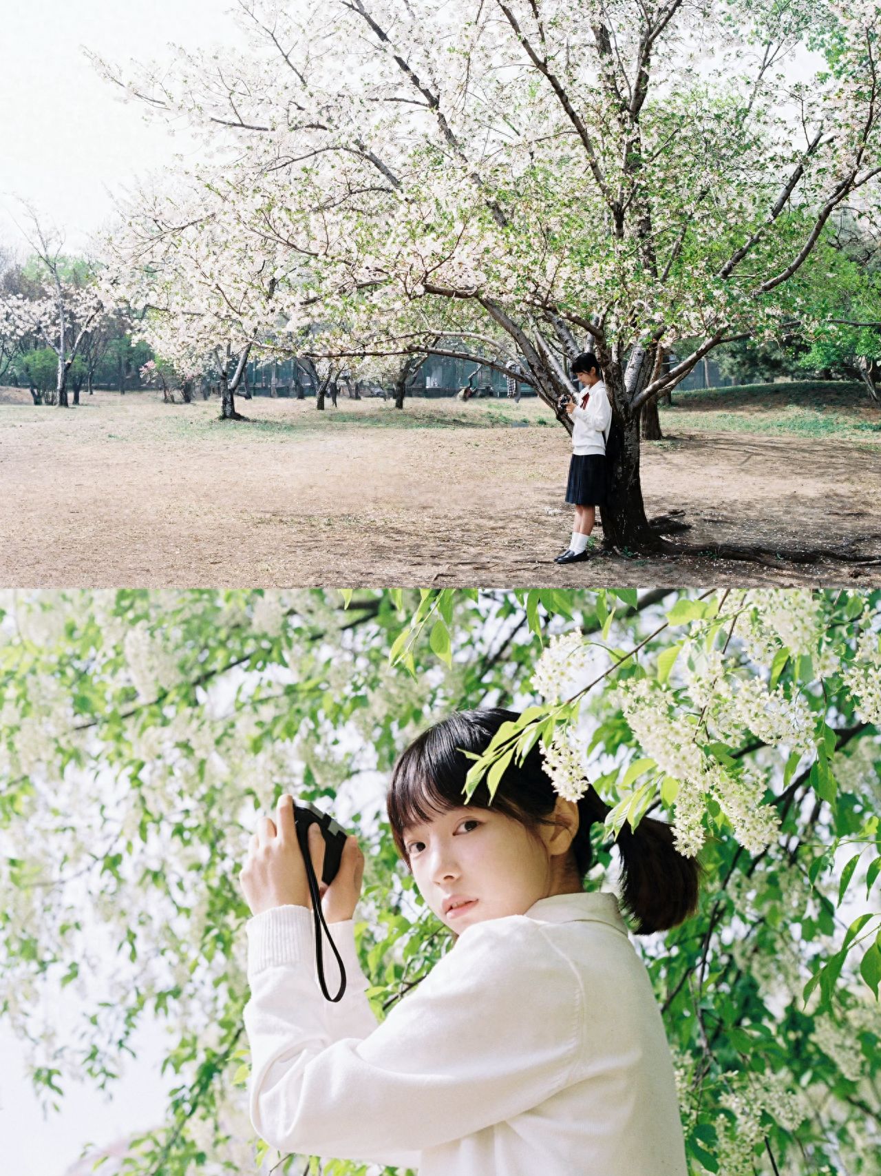 Photo by Galaxy Bay Park - Entrance of the Hawthorn