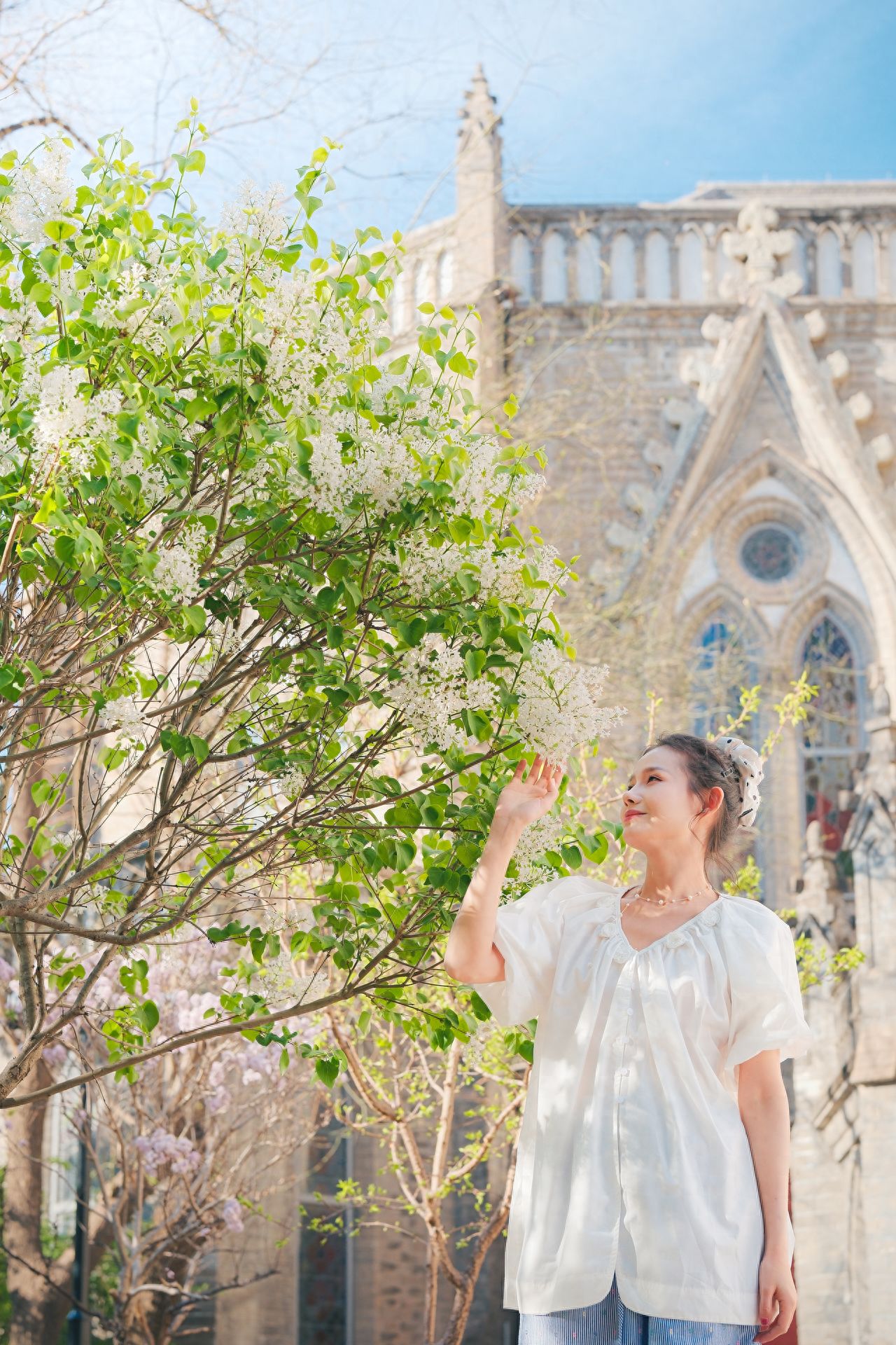 Photo by Xishiku Church - Pear Blossoms on the West Side of the Main Cathedral