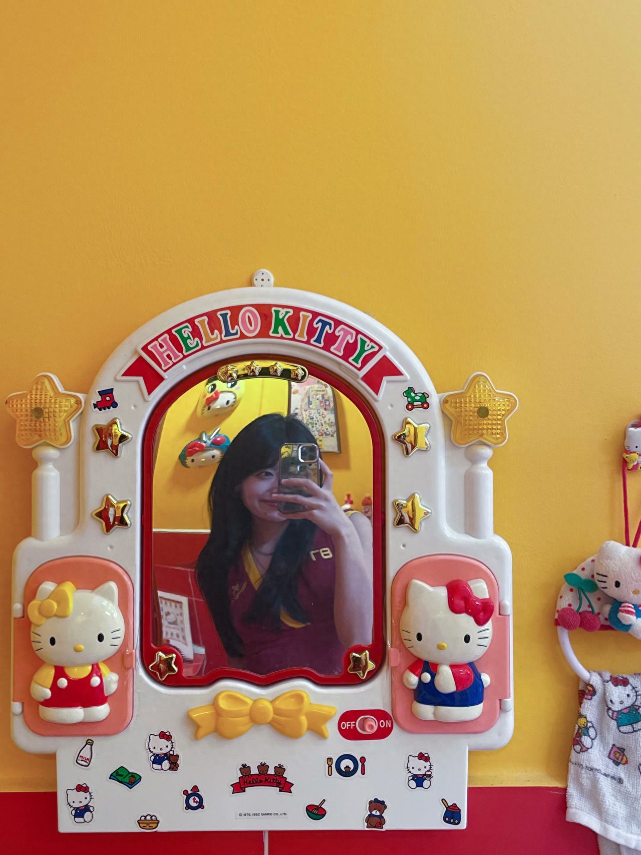 Photo by Thousand Cats Gathering - Kitty's Selfie in the Mirror