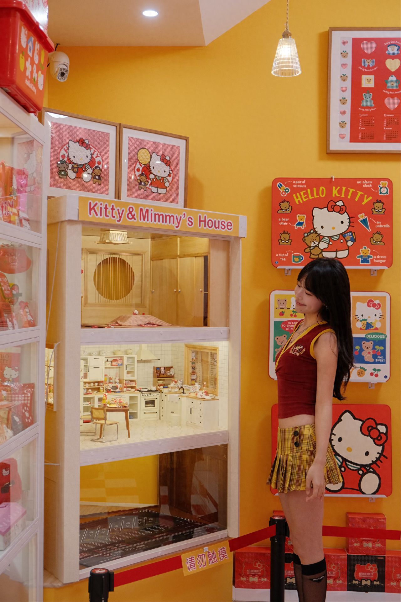 Photo by Thousand Cats Club - Kitty Showcase Front