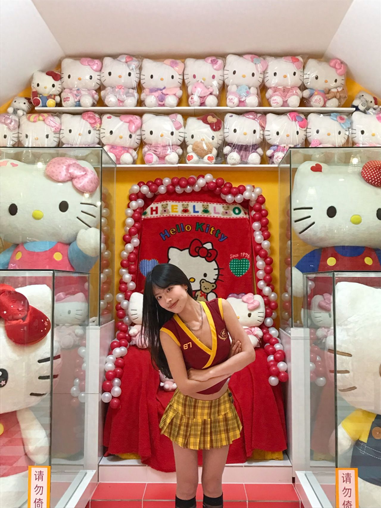 Photo by Thousand Cats Club - In Front of the Big Kitty Stairs