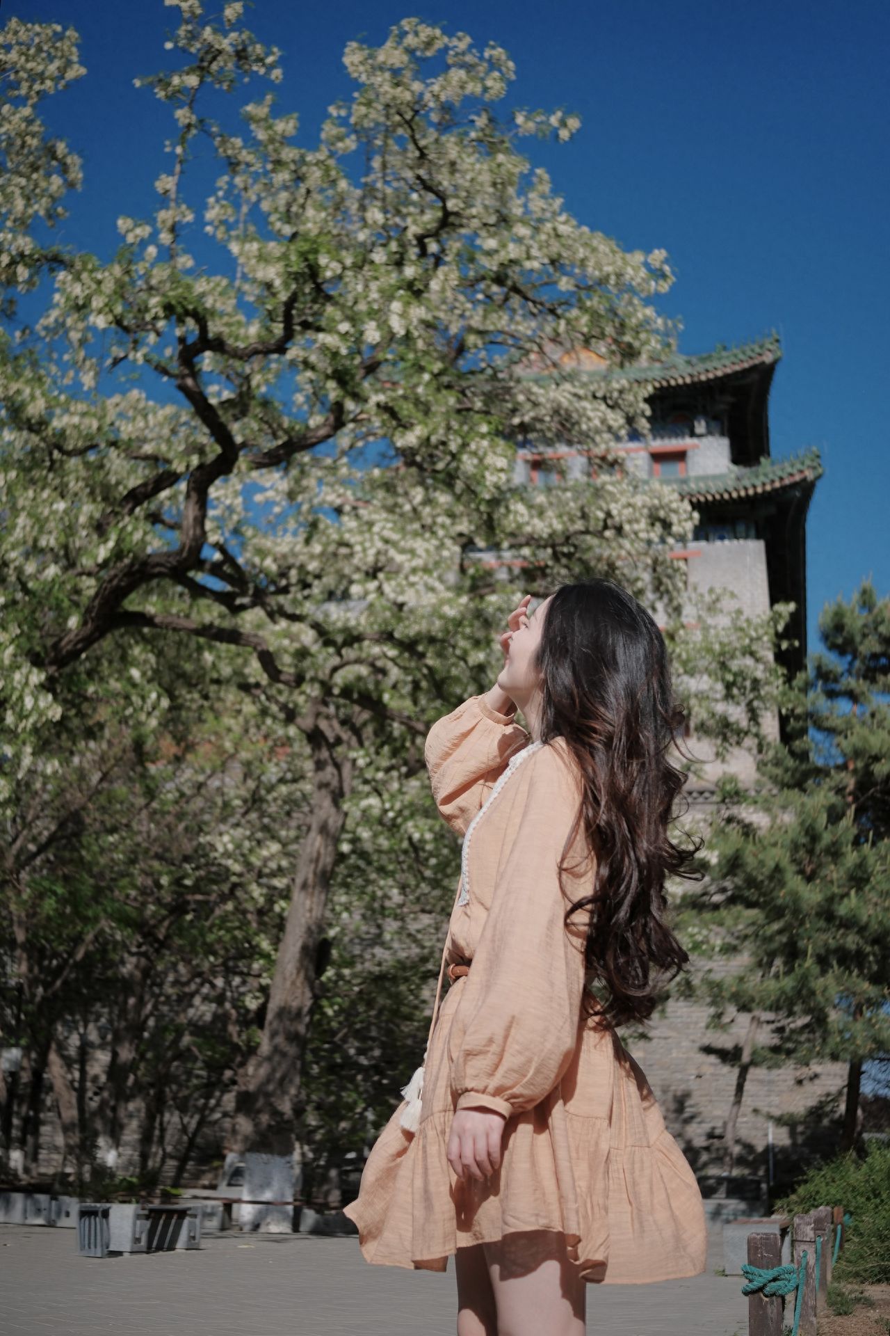 Photo by Ming City Wall Ruins Park - Locust Blossoms under the City Tower