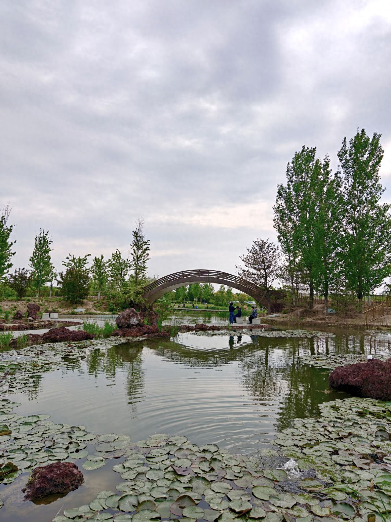 Photo by Beijing Wenyu River Park - Linglong Wangyue
