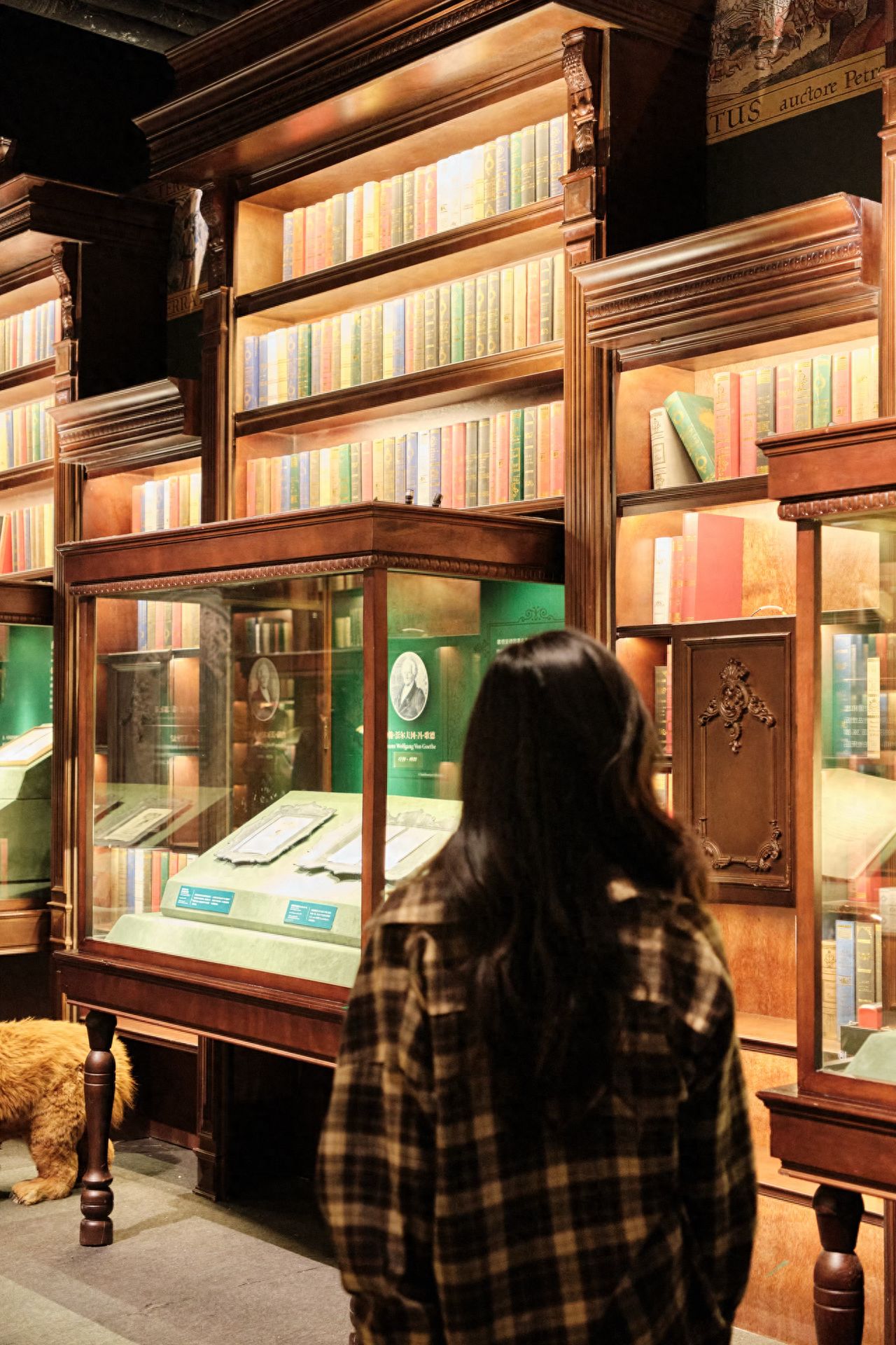 Photo by Beijing British Library World Pixels - Vintage Bookshelf