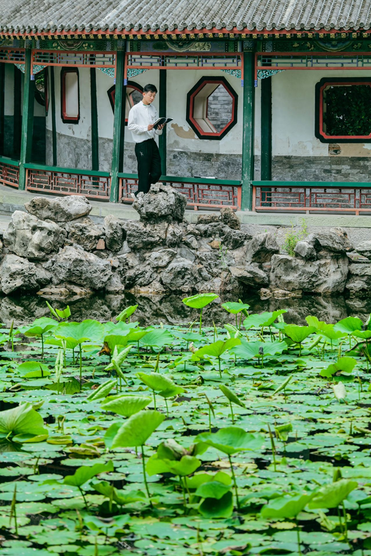 The model stands within the cloister, while the photographer stands by the lotus pond, slightly shooting downwards to highlight the layers of the pond and the outline of the model. The model is positioned slightly above the center of the frame, with the lotus pond occupying one-third of the lower part of the image, creating a sense of visual hierarchy. Use a camera with a telephoto lens or a 5x zoom on a smartphone to compress the sense of space, making the background cloister and lotus pond appear more closely connected.