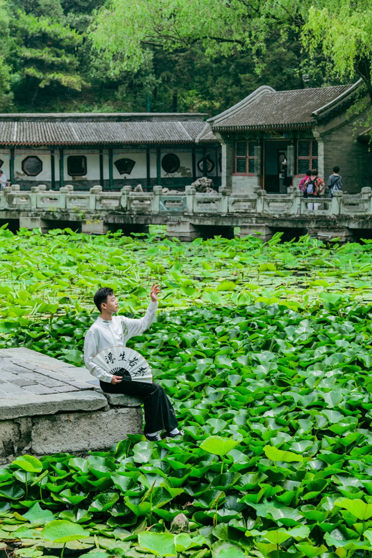 Model sits on the stone platform by the lotus pond, with the photographer slightly shooting from above, using the rule of thirds composition, placing the model at one-third of the left side of the frame, shot with a camera at 75mm/phone at 3x zoom.

Travel Tips:
① Entrance Fee: General ticket for 20 yuan, combined ticket for 50 yuan;
② Opening Hours: Peak season (April-October) 8:30-17:00, off-peak season (November-March) 9:00-16:00.