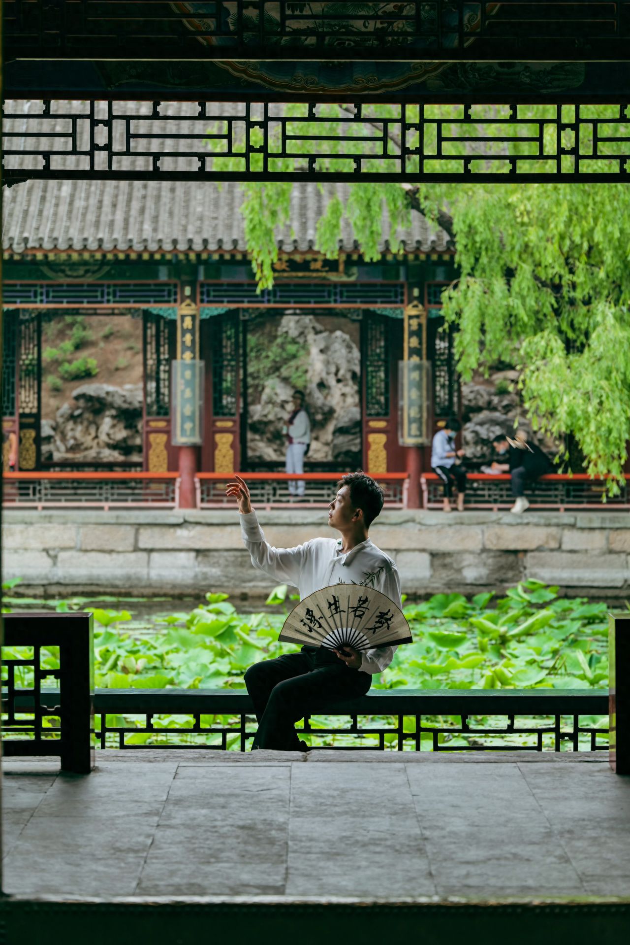 The model sits inside the pavilion, while the photographer stands opposite the model, using the framework composition with the pavilion's window lattice as the top border of the frame, also including the architecture and weeping willows outside the window. A camera with a 120mm focal length or a smartphone with 5x zoom can be used for the shot.

1. Travel Tips:
   ① Ticket Price: 30 yuan for the ticket (high season), separate tickets are required for the garden within the garden (Paiyun Hall, Suzhou Street, Dehe Garden, Summer Palace Museum, etc.).
   ② Opening Hours: 6:00-20:00; last entry at 19:00 (high season).
2. Additional Experience: It is expected that in July and August, the pond will be full of blooming lotus flowers.