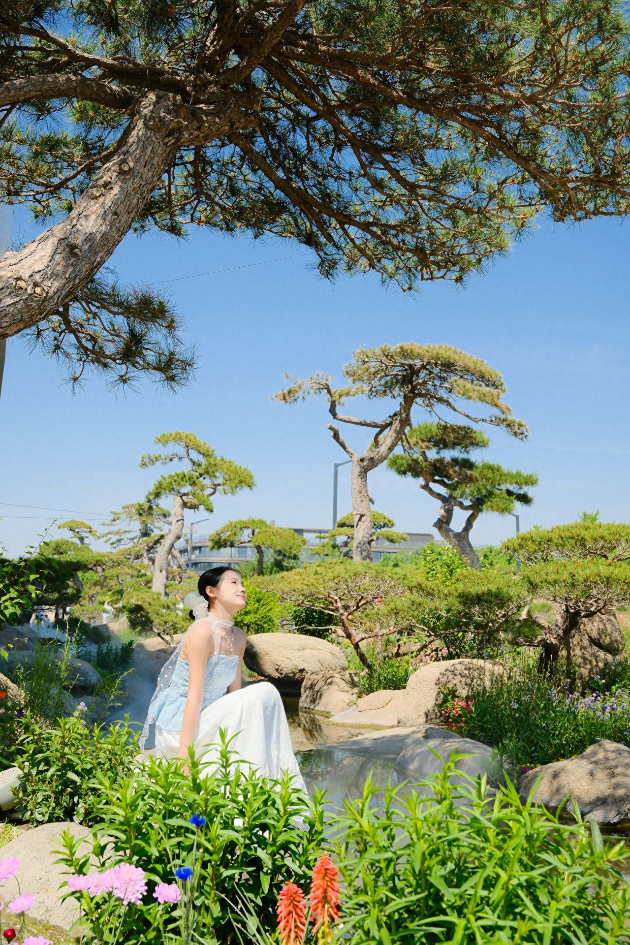 Photo by Luo Hong Photography Art Museum - By the Pond Under the Pine Trees