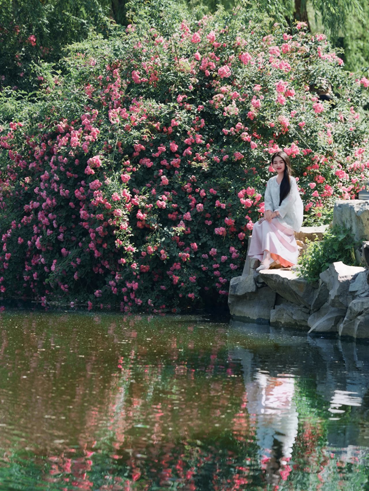 Photo by Beijing Zoo - Rose Banks on the South Side of Tiger Hill