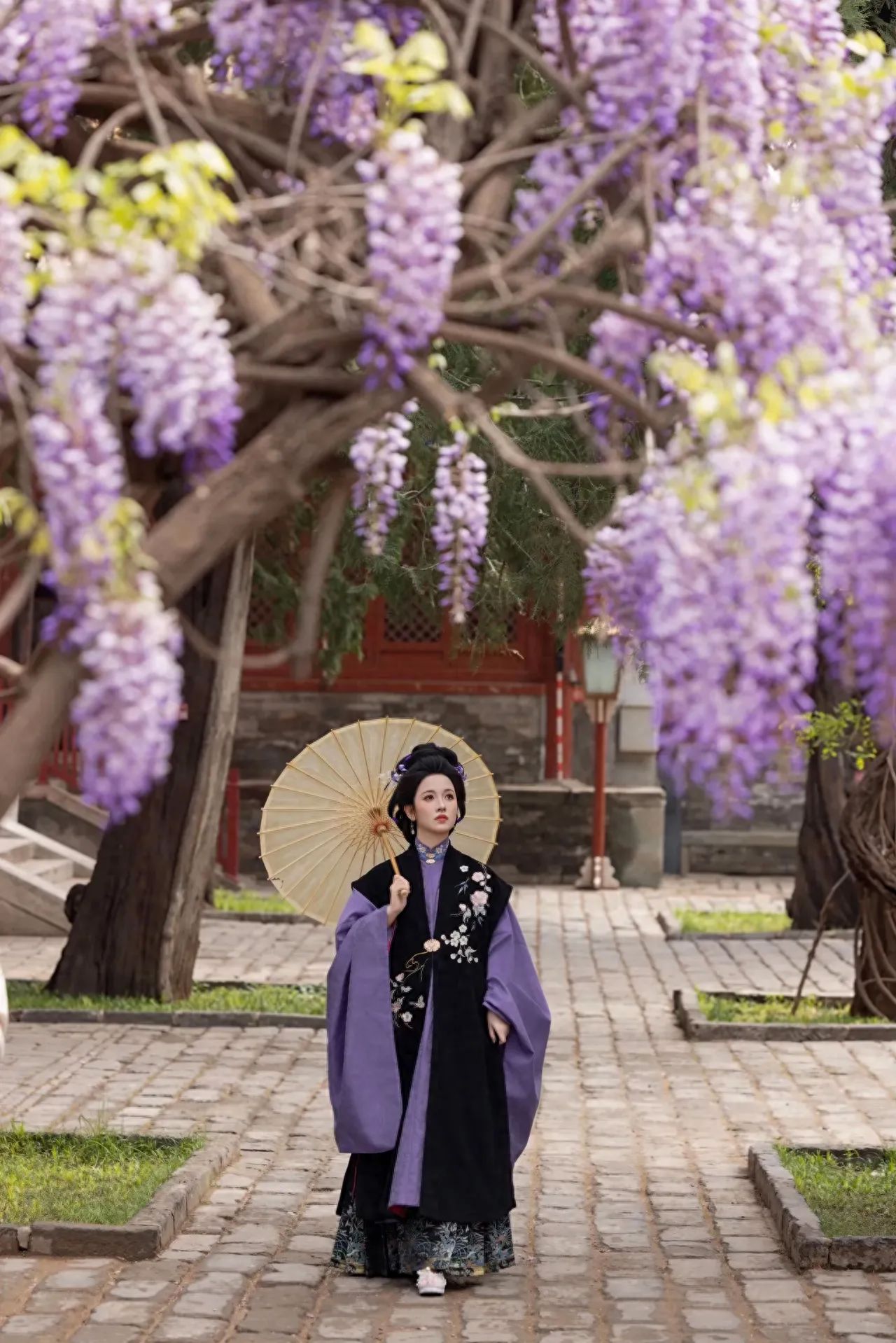 Photo by Taking a photo under the Wisteria flowers at the Imperial Academy.