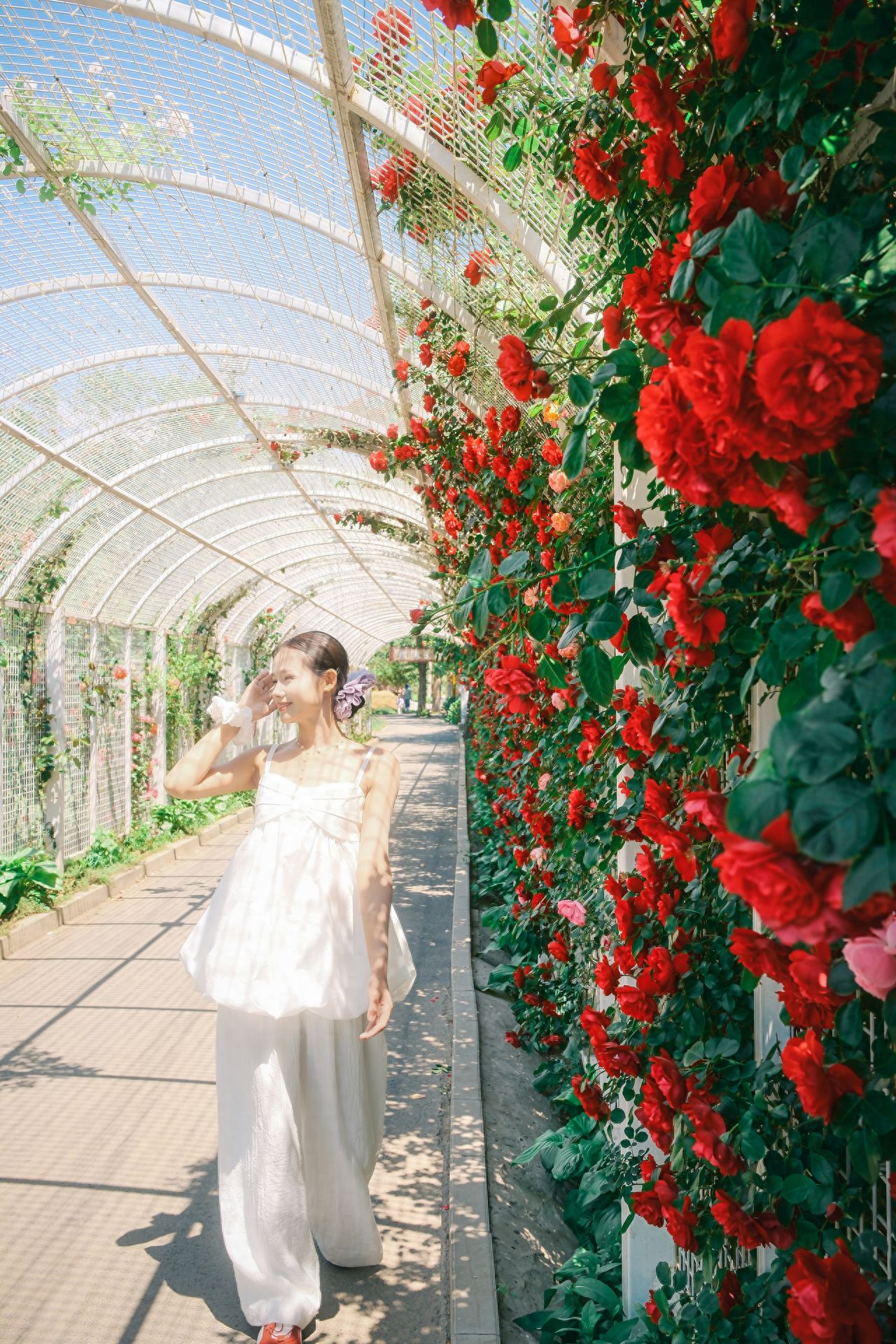 Photo by Taiyanggong Park - Rose Corridor Red Roses