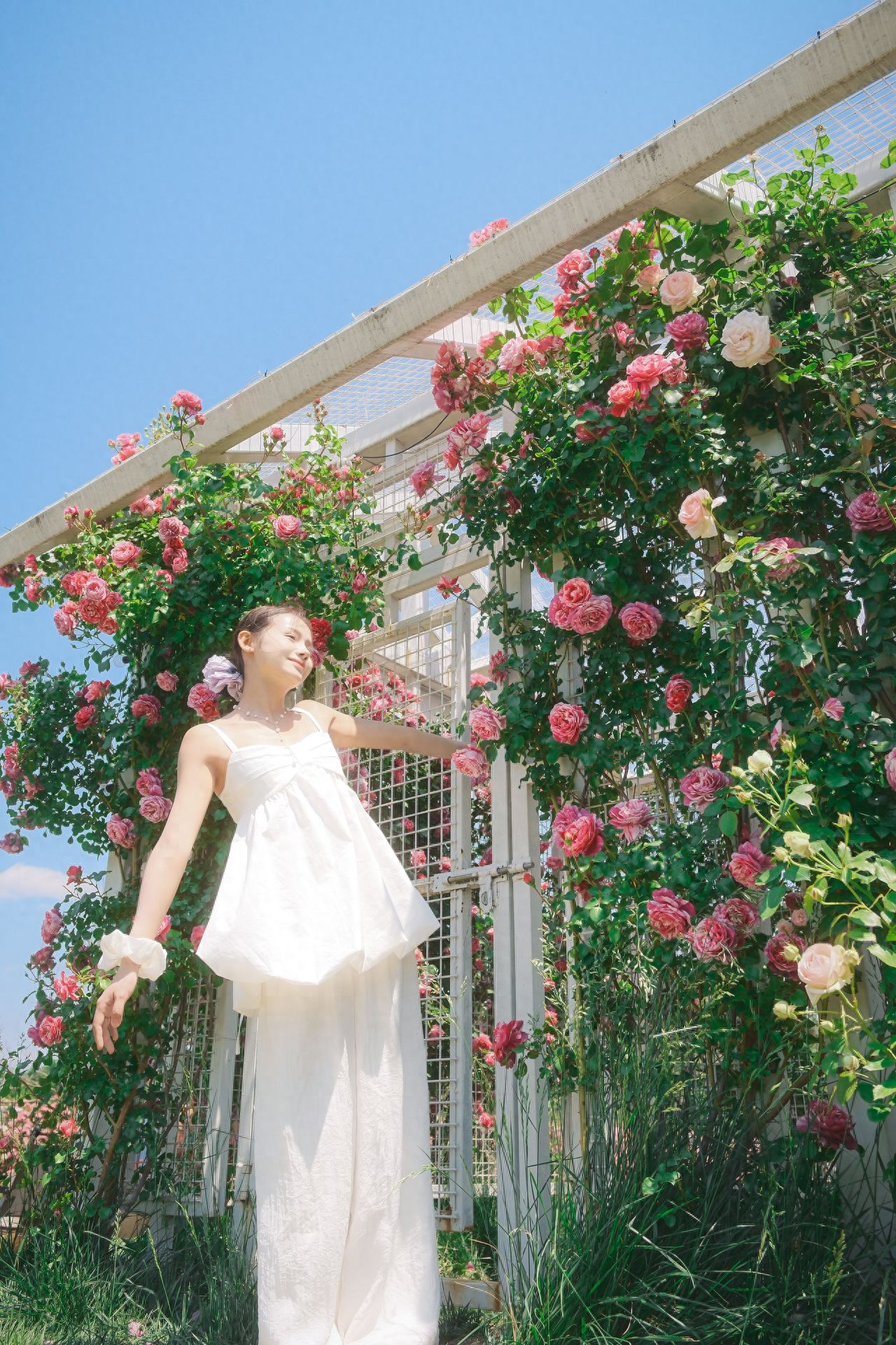 Photo by Sun Palace Park - Side of the Rose House