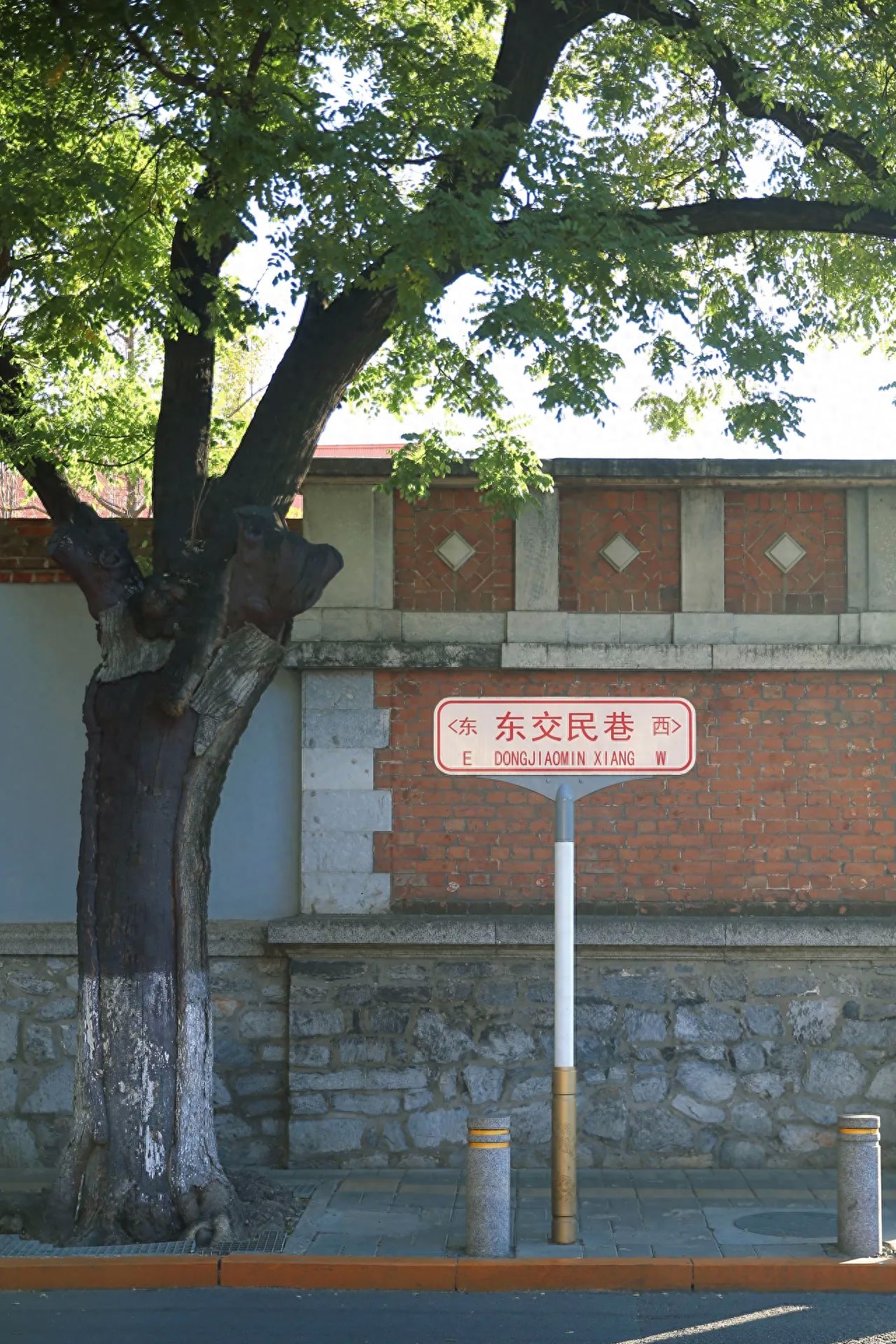 Dongjiaomin Alley – Dongjiaomin Alley Road Sign and Large Tree — photo spot in Shengjing Hotel (Temple of Heaven East Gate MTR Station), China