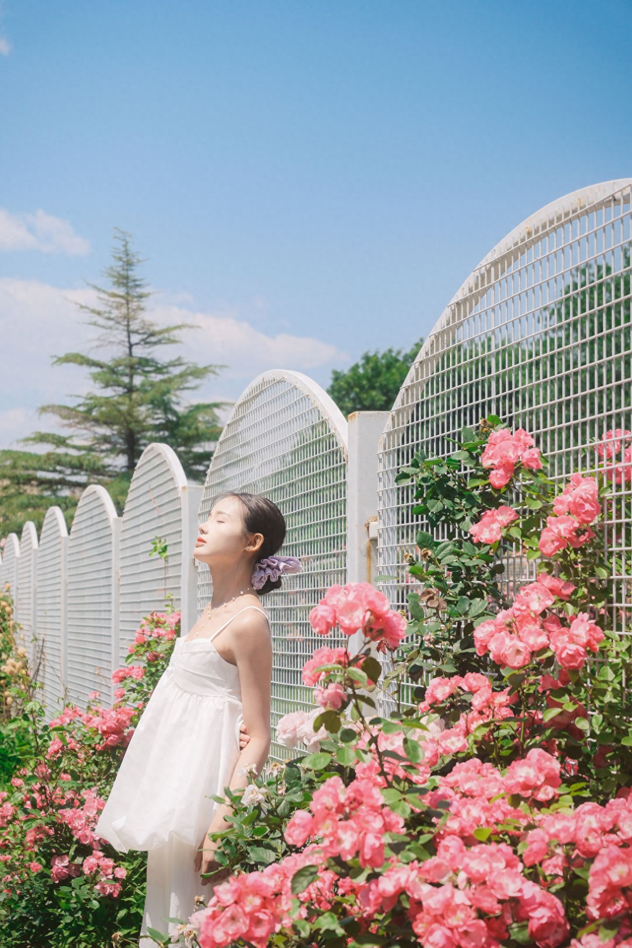 Photo by Sun Palace Park - Rose Window