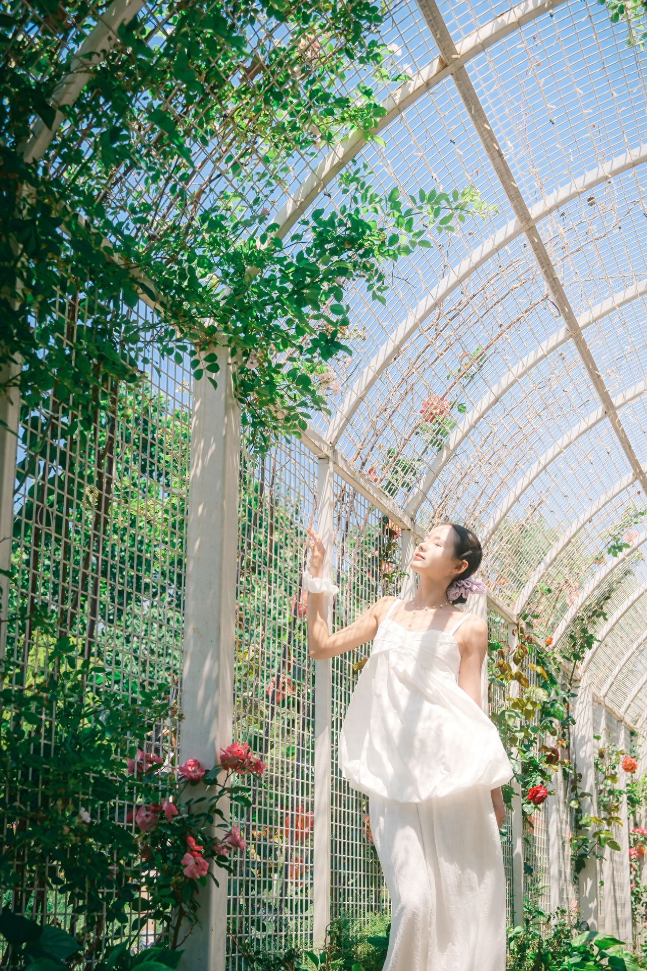Photo by Taiyanggong Park - Rose Long Corridor Iron Gate